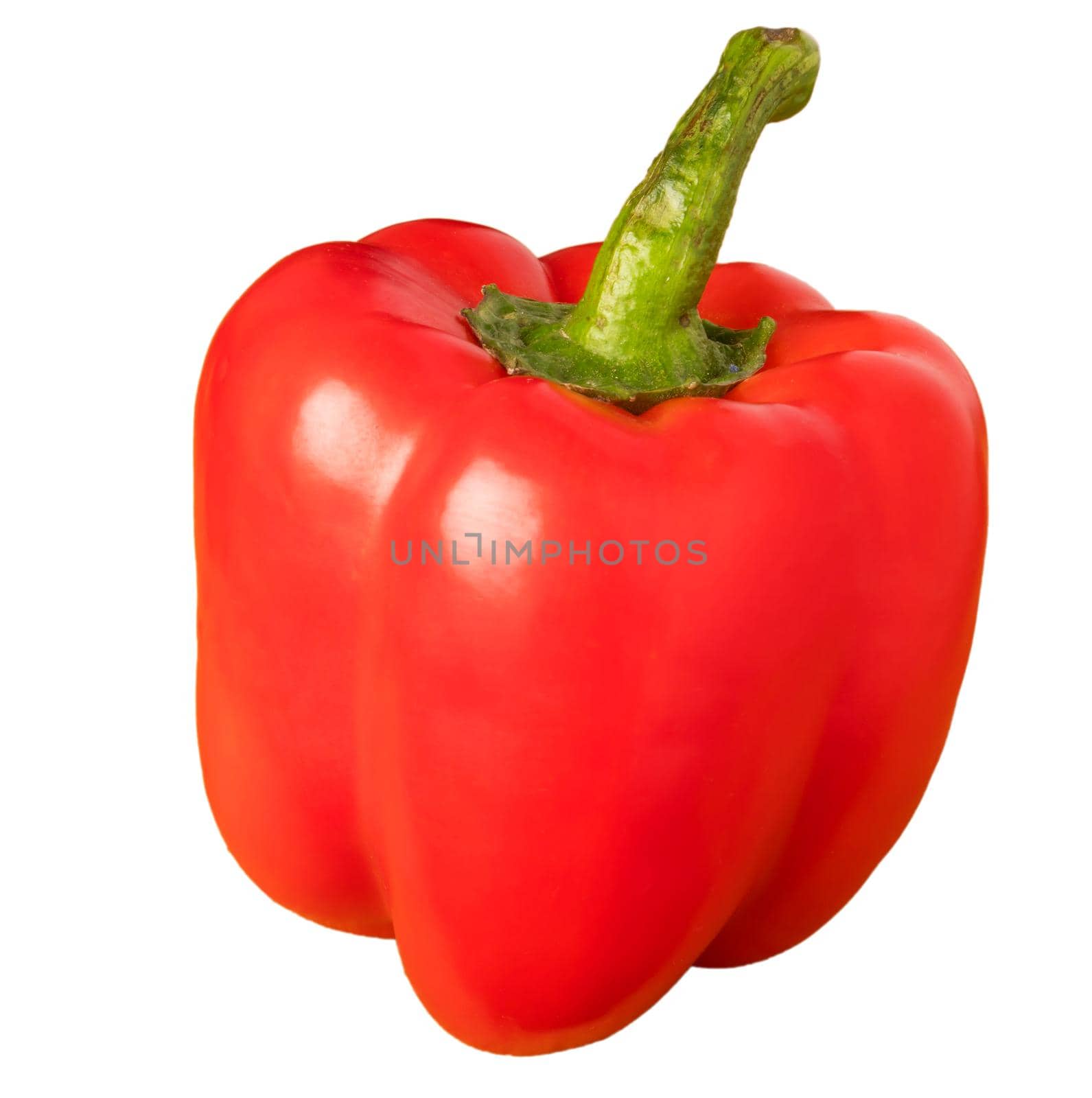 One red bell pepper on a white background in isolation by A_A
