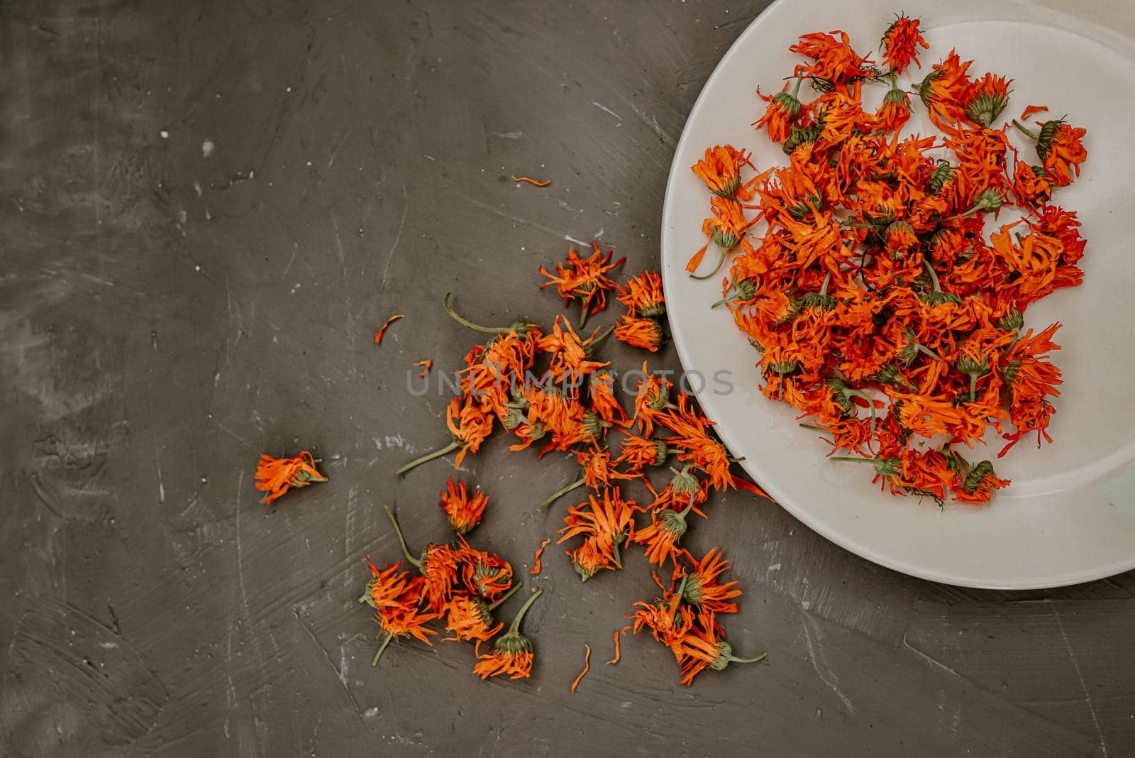 Dried flowers in a gray plate. Medicinal herbal dried plants marigold, orange calendula. Neutral white and gray background.