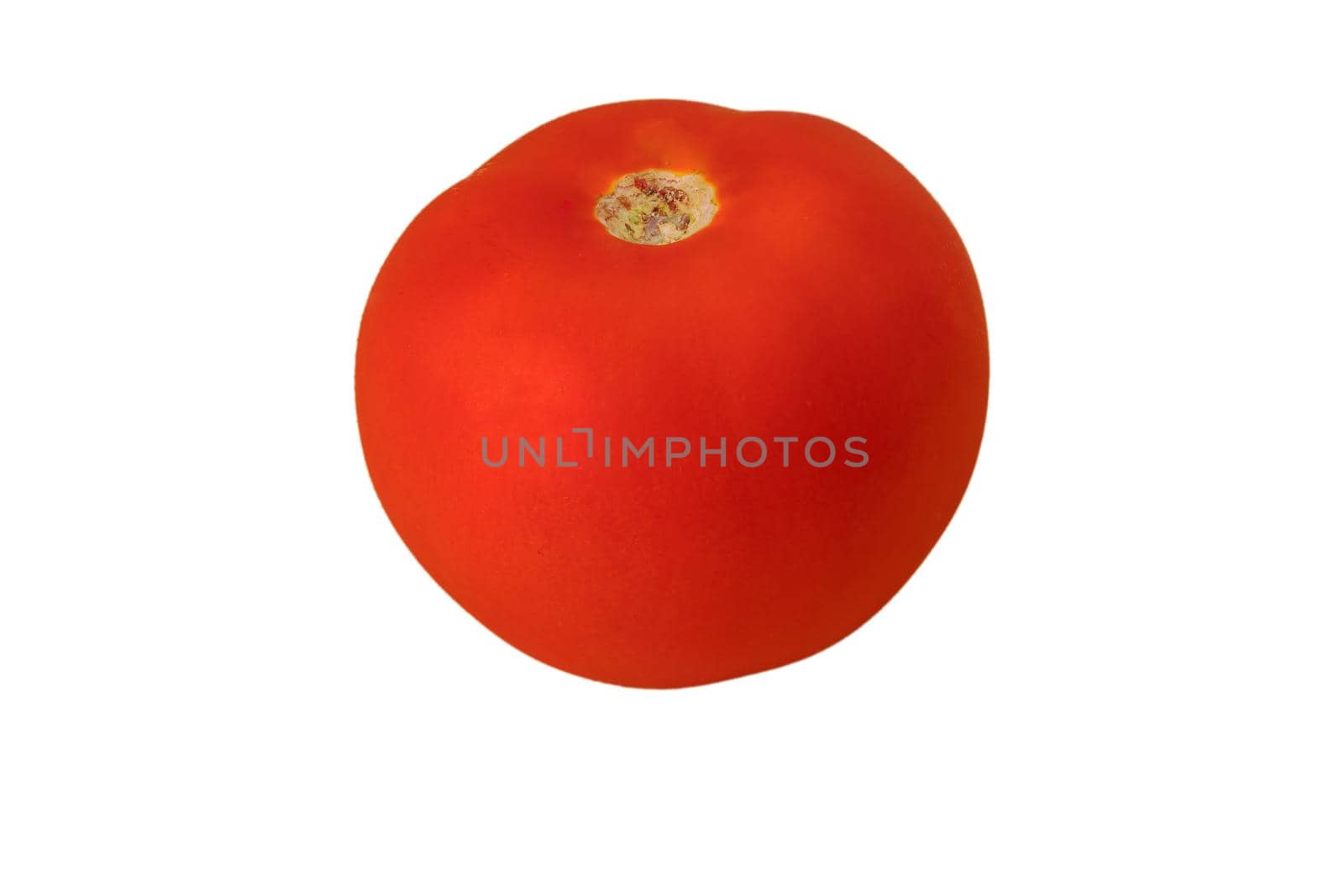 One whole red tomato on a white background in isolation