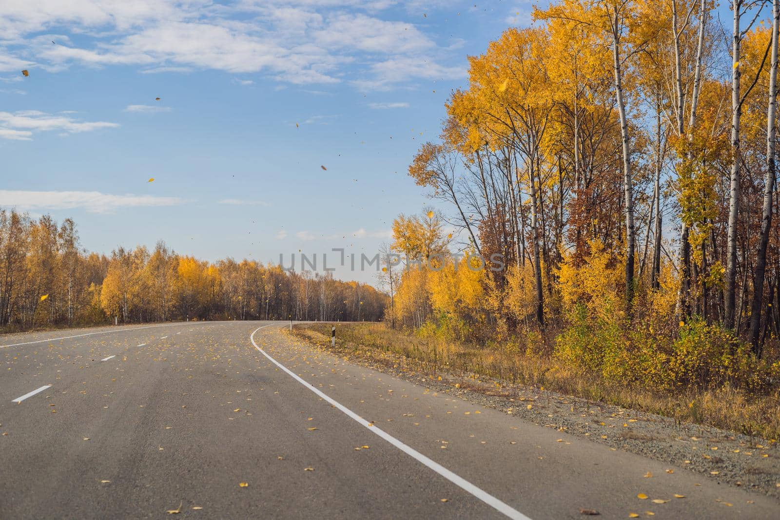 Amazing view with colorful autumn forest with asphalt mountain road. Beautiful landscape with empty road, trees and sunlight in in autumn. Travel background. Nature.