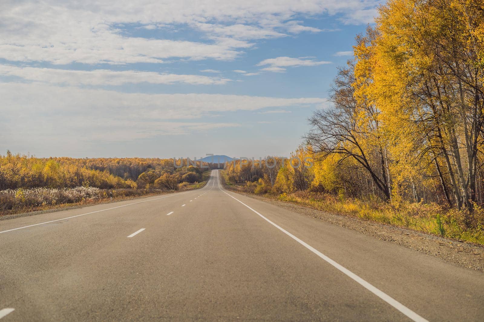 Amazing view with colorful autumn forest with asphalt mountain road. Beautiful landscape with empty road, trees and sunlight in in autumn. Travel background. Nature.
