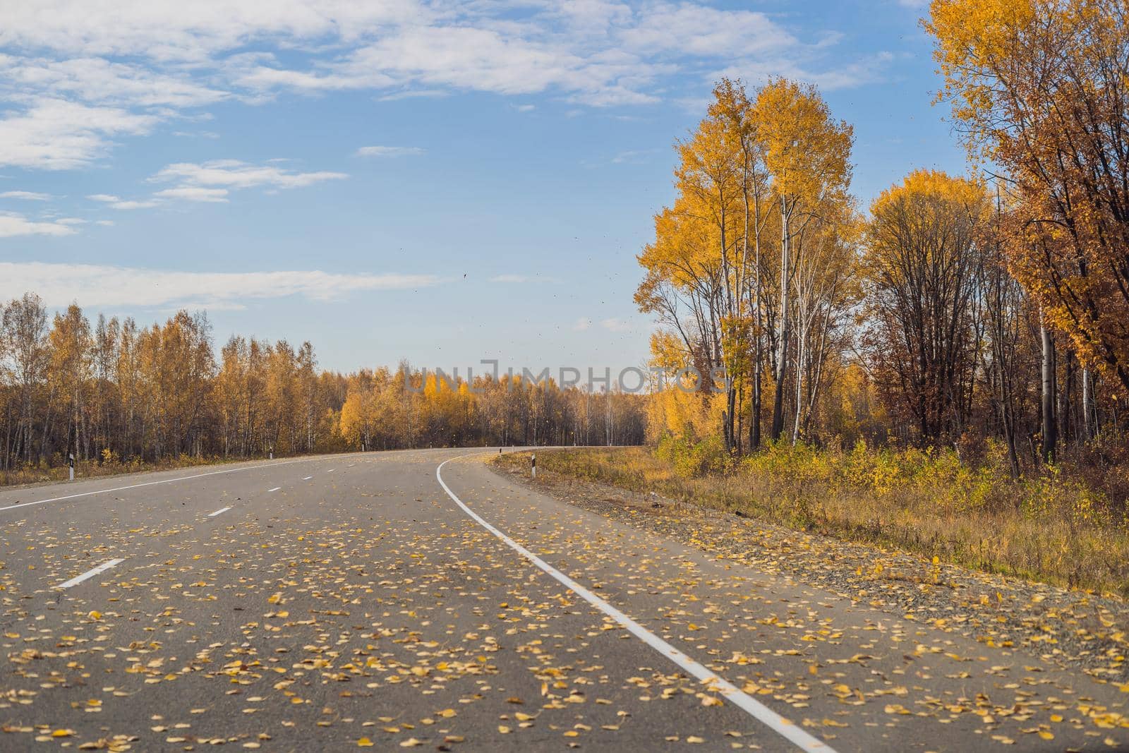 Amazing view with colorful autumn forest with asphalt mountain road. Beautiful landscape with empty road, trees and sunlight in in autumn. Travel background. Nature.
