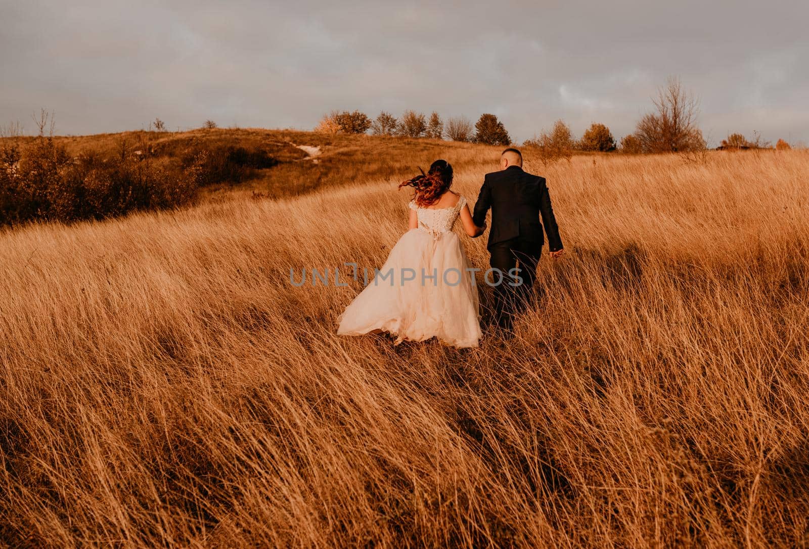 couple in love wedding newlyweds are walking on long grass in a field in summer by AndriiDrachuk