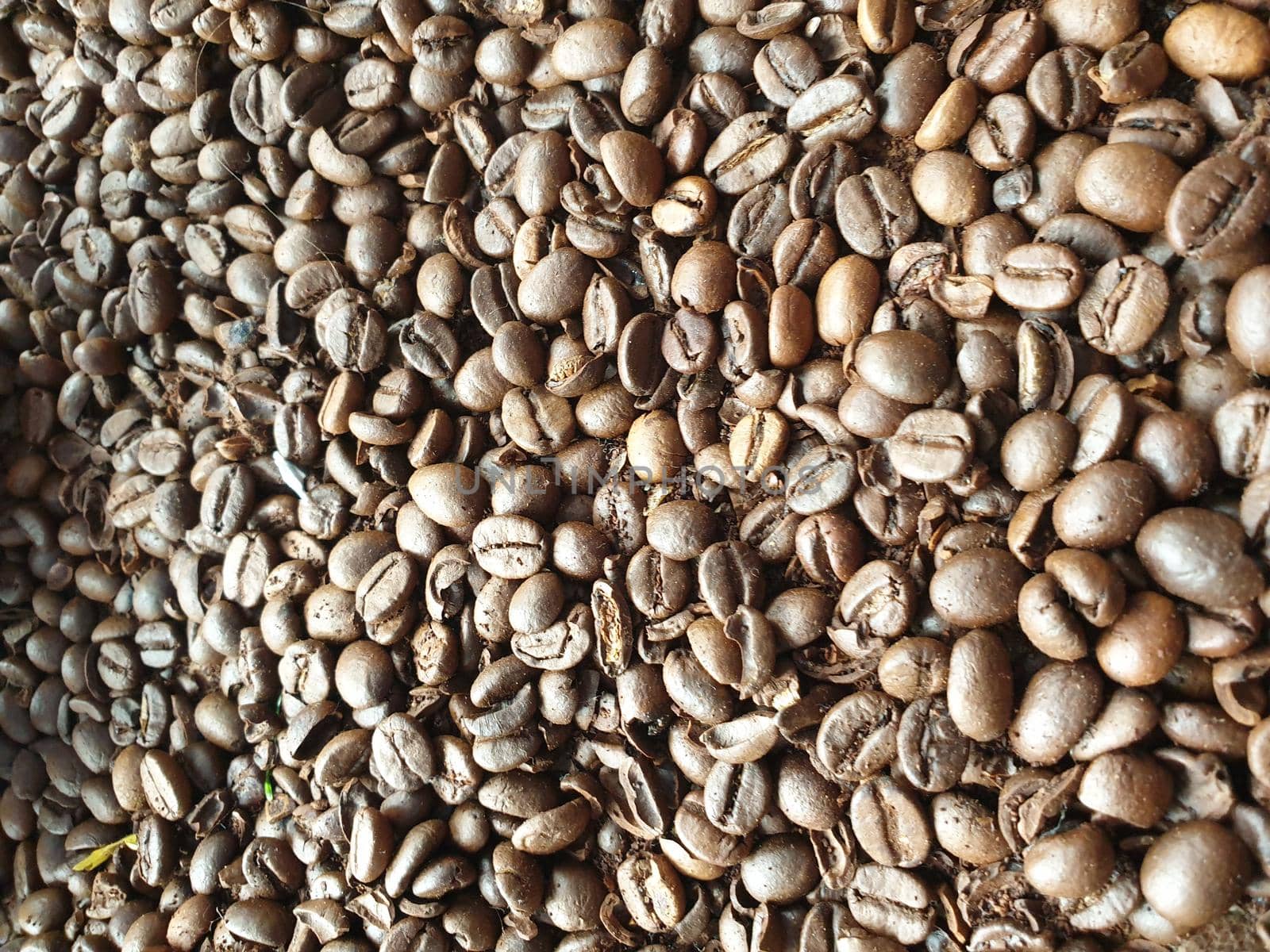 Close-up of roasted and aromatic coffee beans. Great flavor and aroma