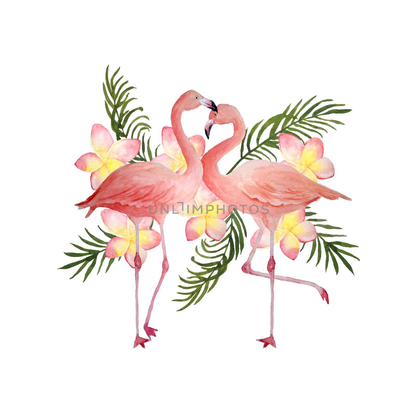 Two pink flamingo, romantic couple in love with palm leaves plumeria frangipani flowers. Tropical exotic bird rose flamingos. Watercolor hand drawn realistic animal illustration. Wedding cards invitation st valentine day. by Lagmar