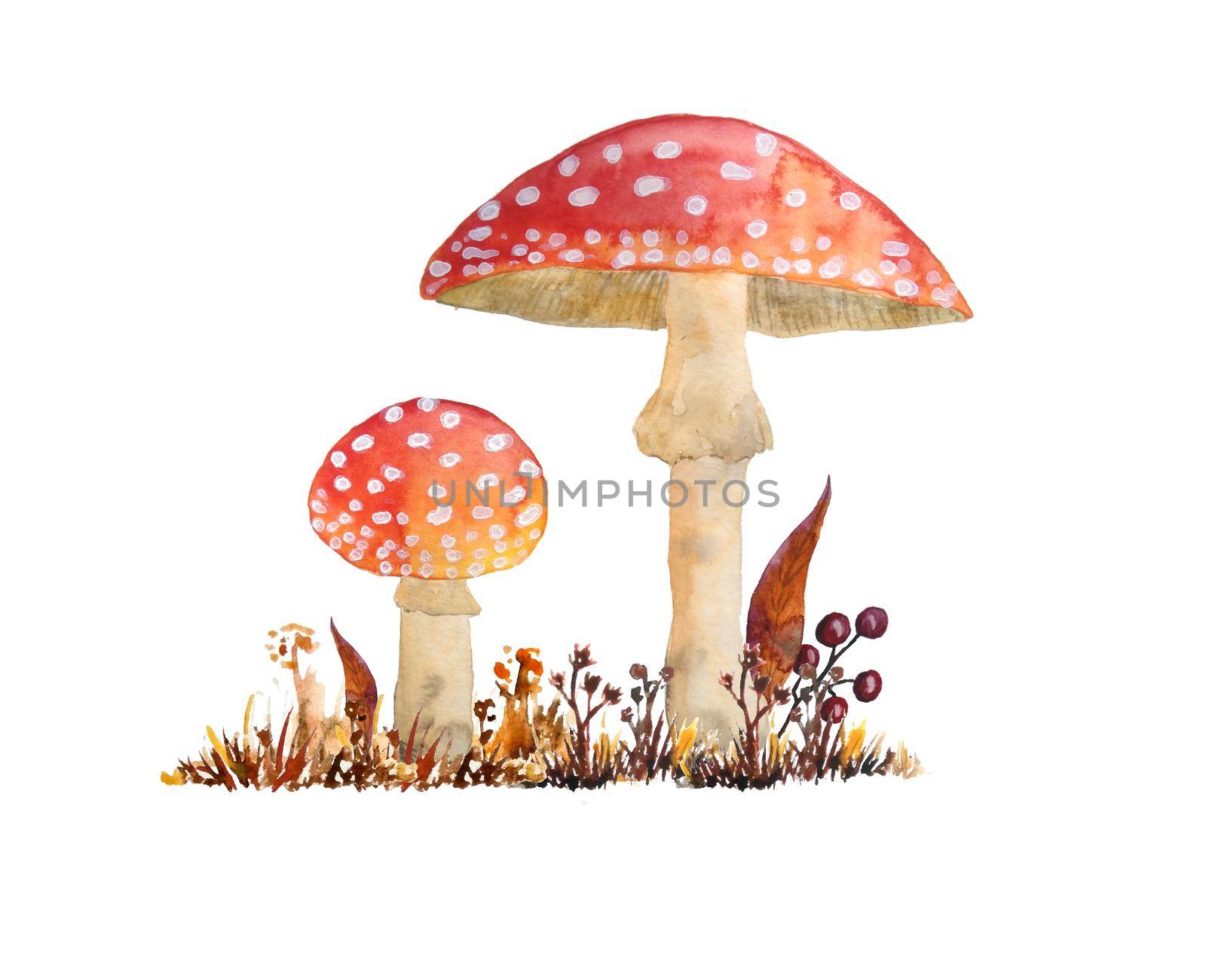 hand drawn watercolor dangerous scary poisonous mushrooms red Amanita muscaria. Wild fungus fungi from autumn fall forest woodland in dry grass natural season perfect for halloween design textile. by Lagmar