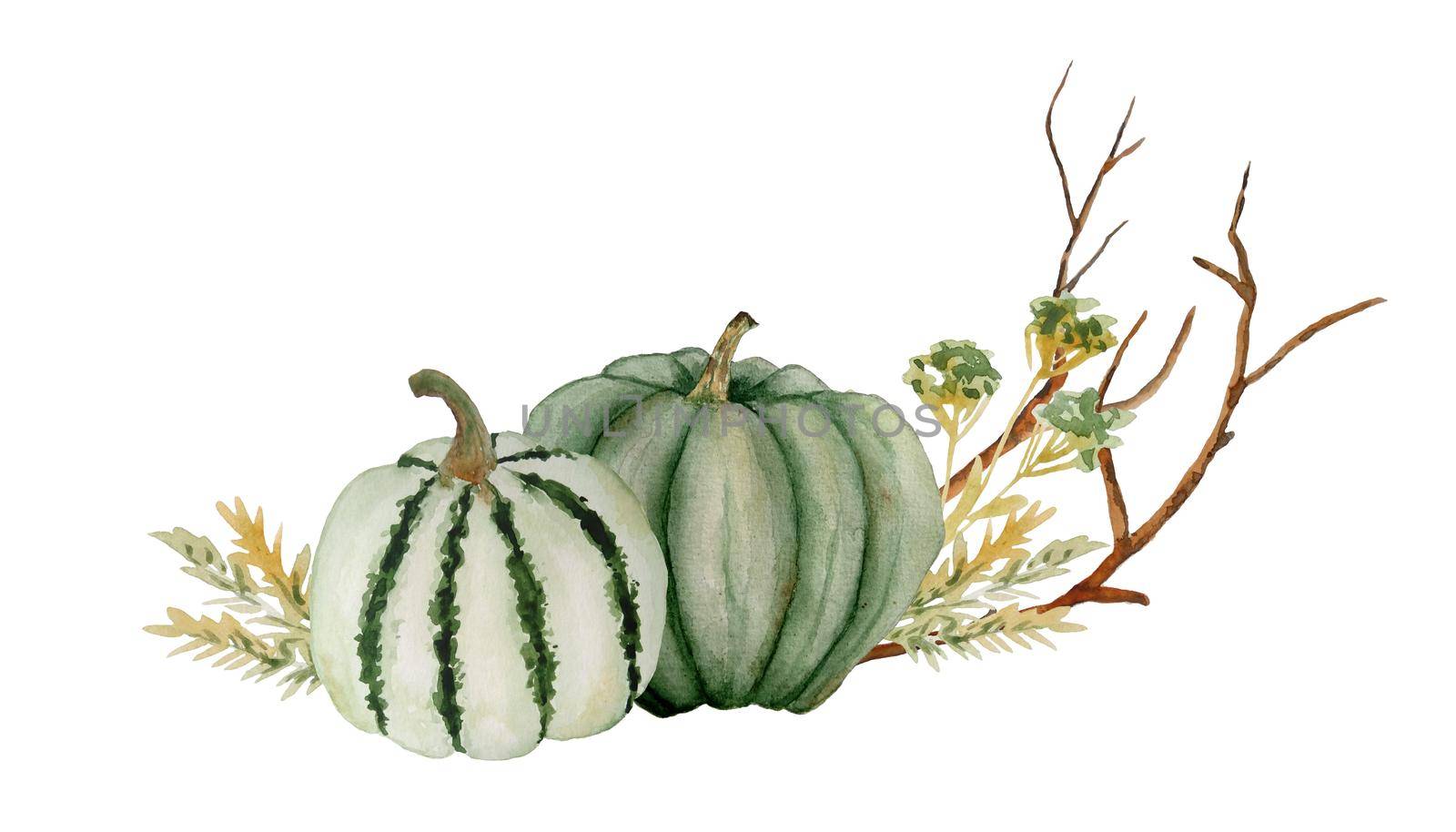 Watercolor hand drawn composition illustration of green neutral pumpkins, wood forest leaves and brown branches. For Halloween thanksgiving design in soft minimalism elegant style, woodland nature