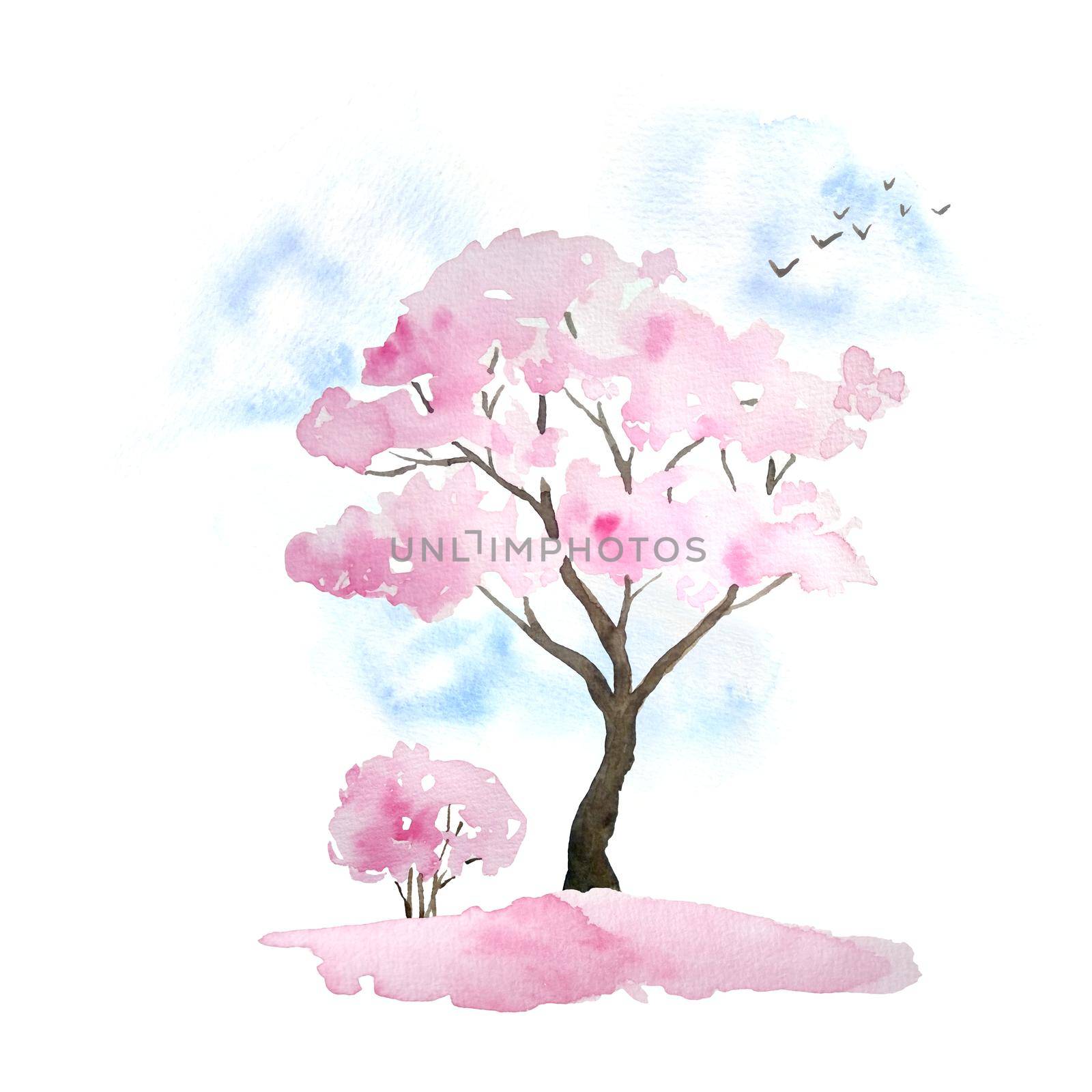 Watercolor hand drawn design illustration of pink cherry sakura tree in bloom blossom flowers, sky, birds, fallen petals. Hanami festival traditional japan japanese culture. Nature landscape plant. Spring march april concept. by Lagmar