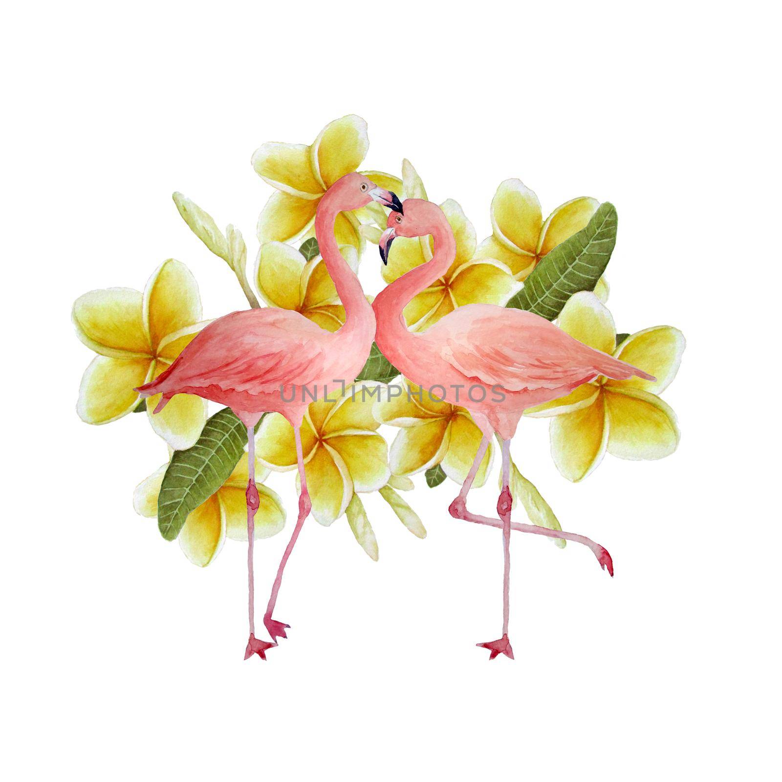 Two pink flamingo, romantic couple in love with yellow plumeria frangipani flowers. Tropical exotic bird rose flamingos isolated on white background. Wedding cards invitation st valentine day. Watercolor hand drawn animal illustration. by Lagmar