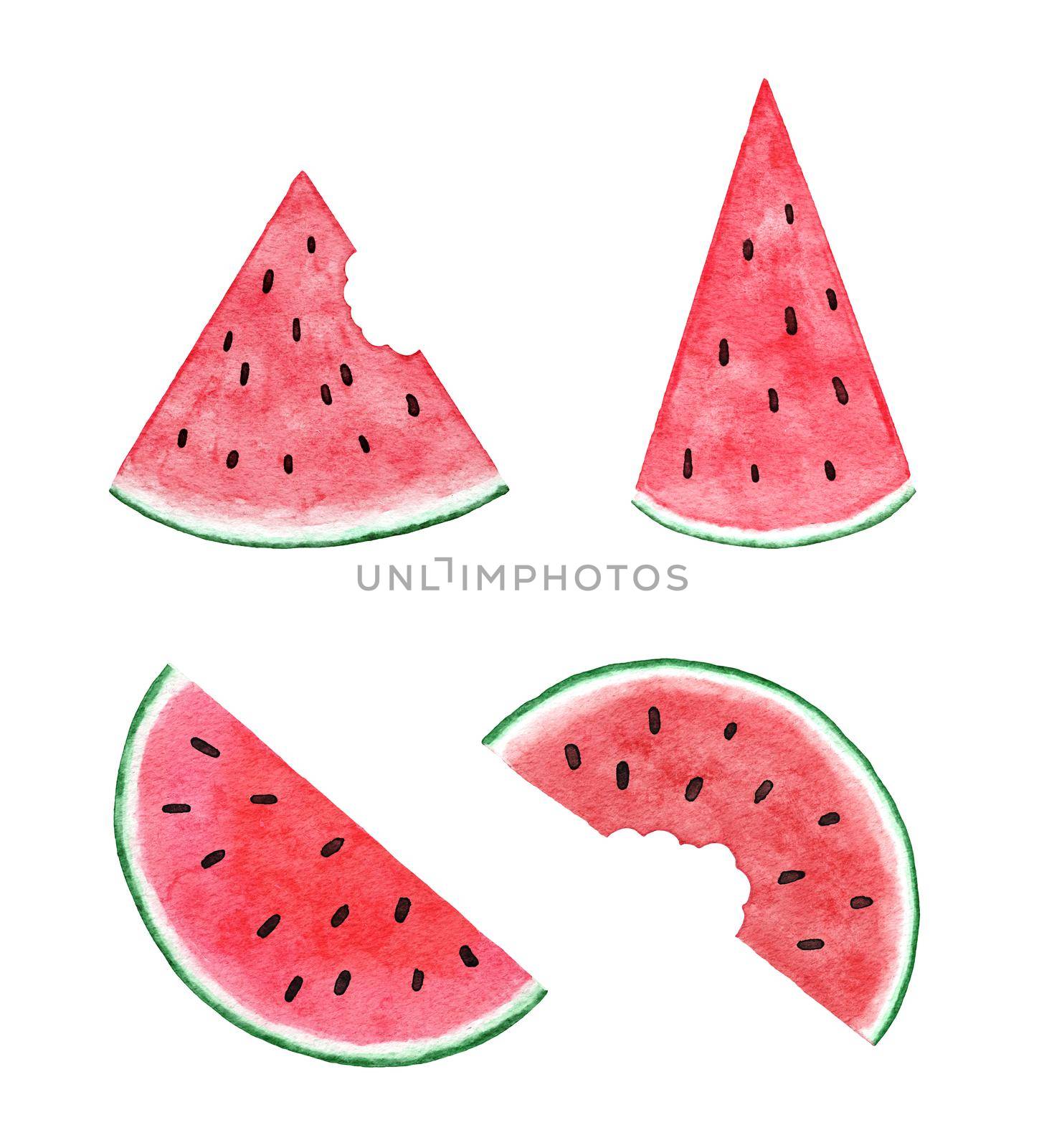 Watercolor hand drawn illustration of watermelon in red and green colors, summer fruit design for party decoration vegetable background. Natural organic plants, slices, seeds elements, fresh food concept