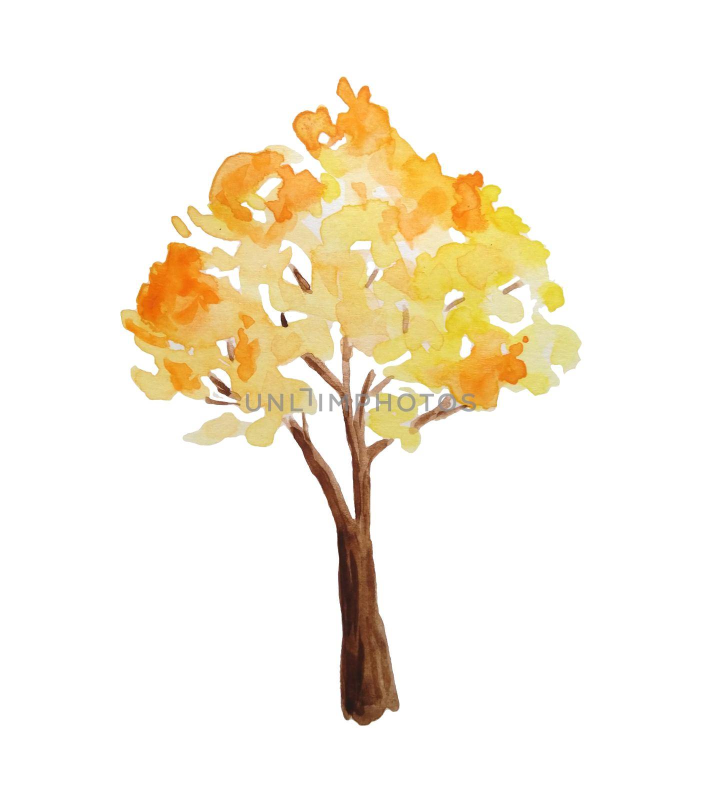 Watercolor hand drawn illustration of autumn fall tree in forest wood woodland park. Outdoor wild bright landscape. Nature camping design, fall activities in the open. Orange yellow colors eco season