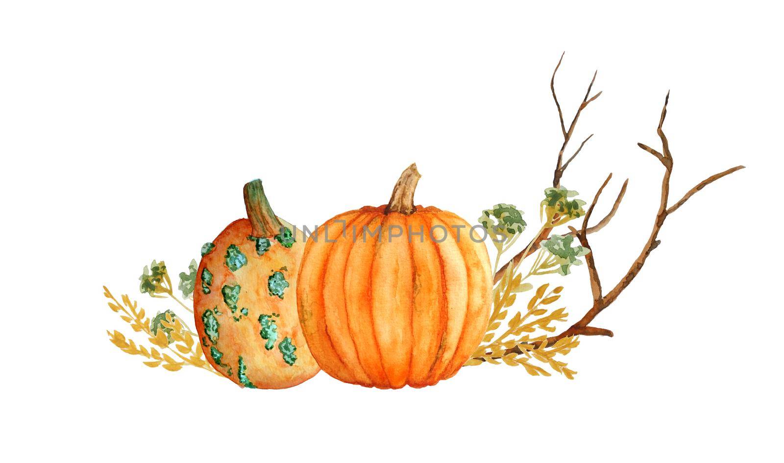 Watercolor hand drawn composition illustration of orange yellow butternut pumpkins, wood forest leaves and brown branches. For Halloween thanksgiving design in soft minimalism elegant style, woodland nature. by Lagmar