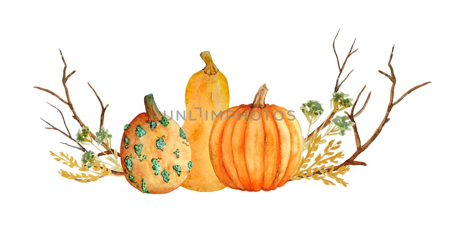 Watercolor hand drawn composition illustration of orange yellow butternut pumpkins, wood forest leaves and brown branches. For Halloween thanksgiving design in soft minimalism elegant style, woodland nature