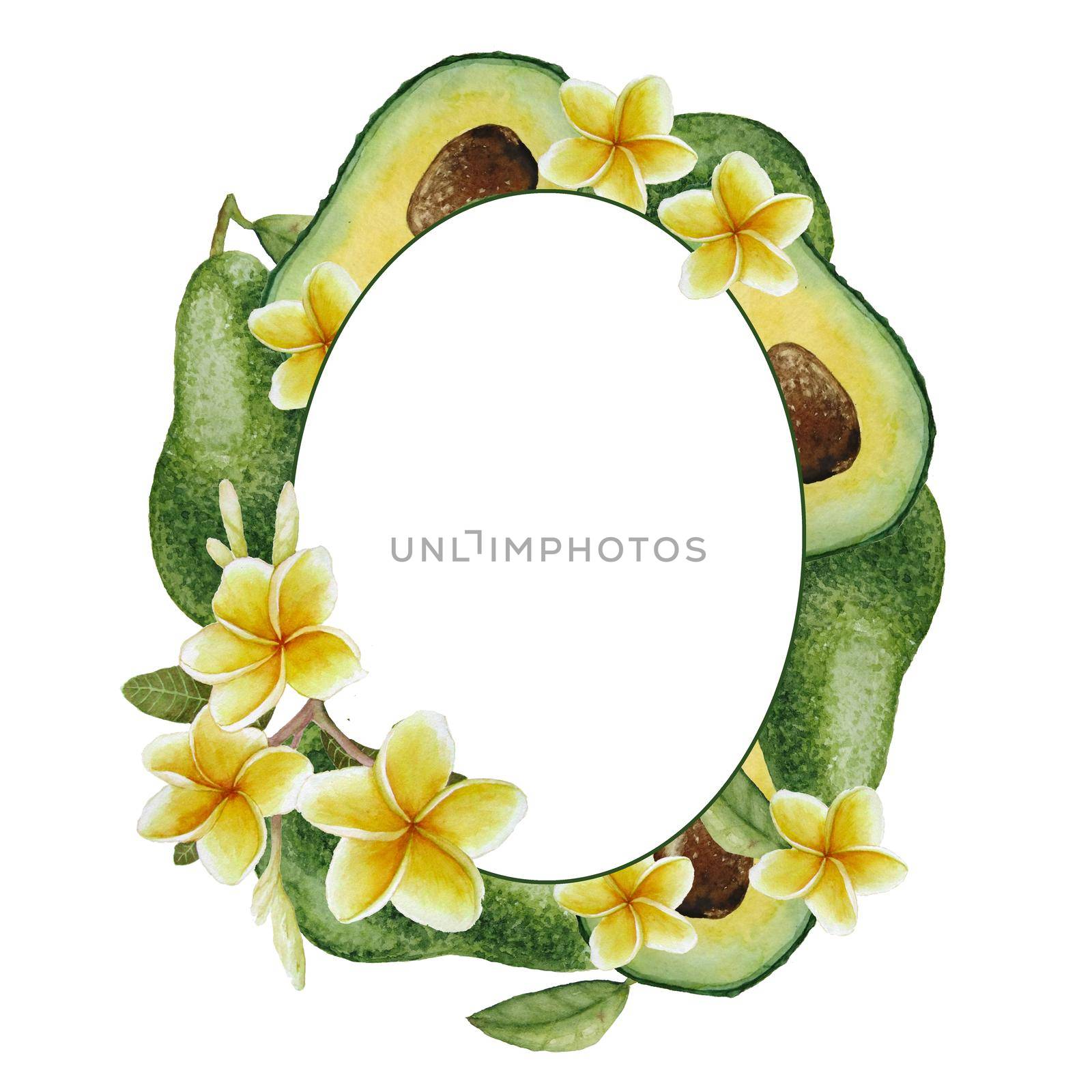 hand drawn watercolor oval round circle frame template with green healthy tropical avocado fruit. Mexican tree super food exotic botanical plant vegetarian diet and elegant yellow plumeria frangipani flower. by Lagmar