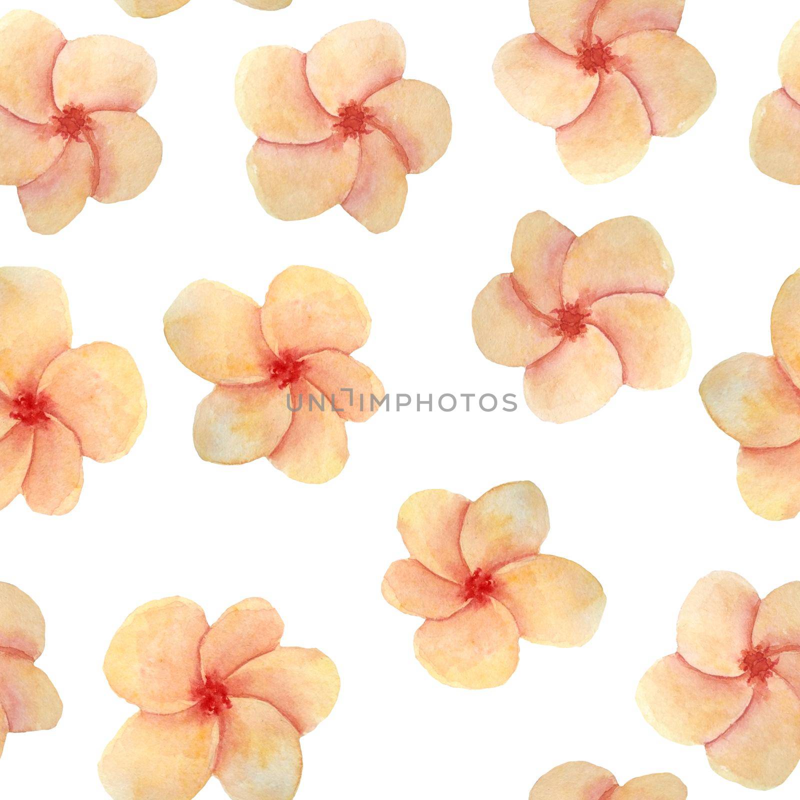 watercolor hand drawn seamless pattern elegant trendy exotic tropical plumeria frangipani. Peach orange blush flowers. Summer vacation holiday in hawaii thailand floral botanical illustration for spa textile wrapping paper. by Lagmar
