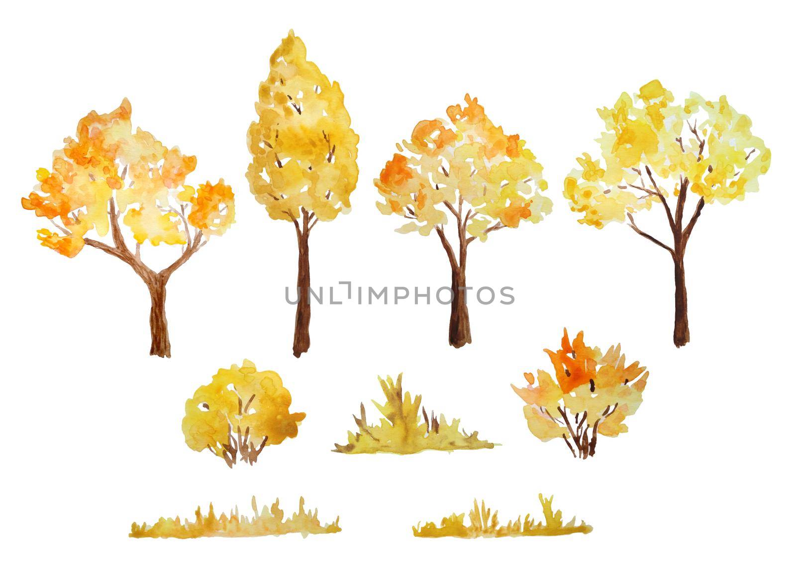 Watercolor hand drawn illustration of autumn fall tree bush grass in forest wood woodland park. Outdoor wild landscape. Nature camping design, fall activities in the open. Orange yellow colors eco season. by Lagmar