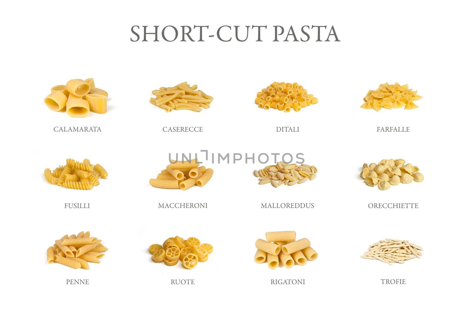 pasta set variety: 12 different short cut italian pasta shapes with italian names by Jacopo