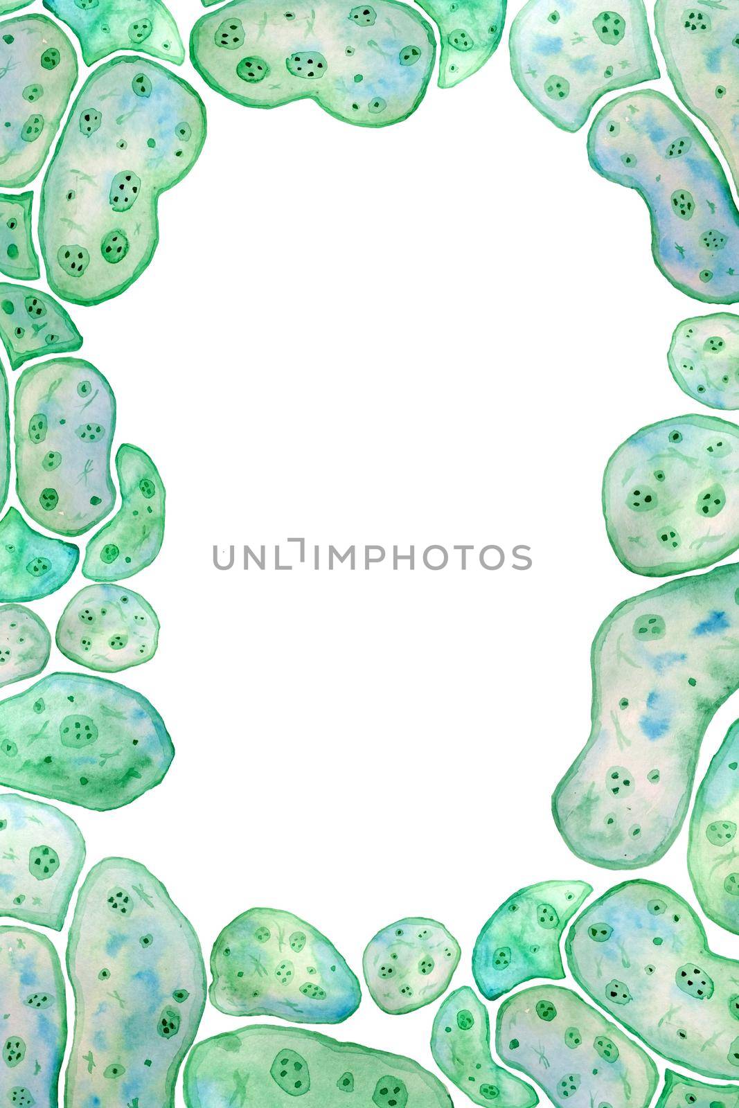 Hand drawn border page frame of unicellular green blue algae chlorella spirulina with large cells single-cells with lipid weed droplets. Watercolor illustration of macro zoom microorganism bacteria cosmetics biological design. by Lagmar