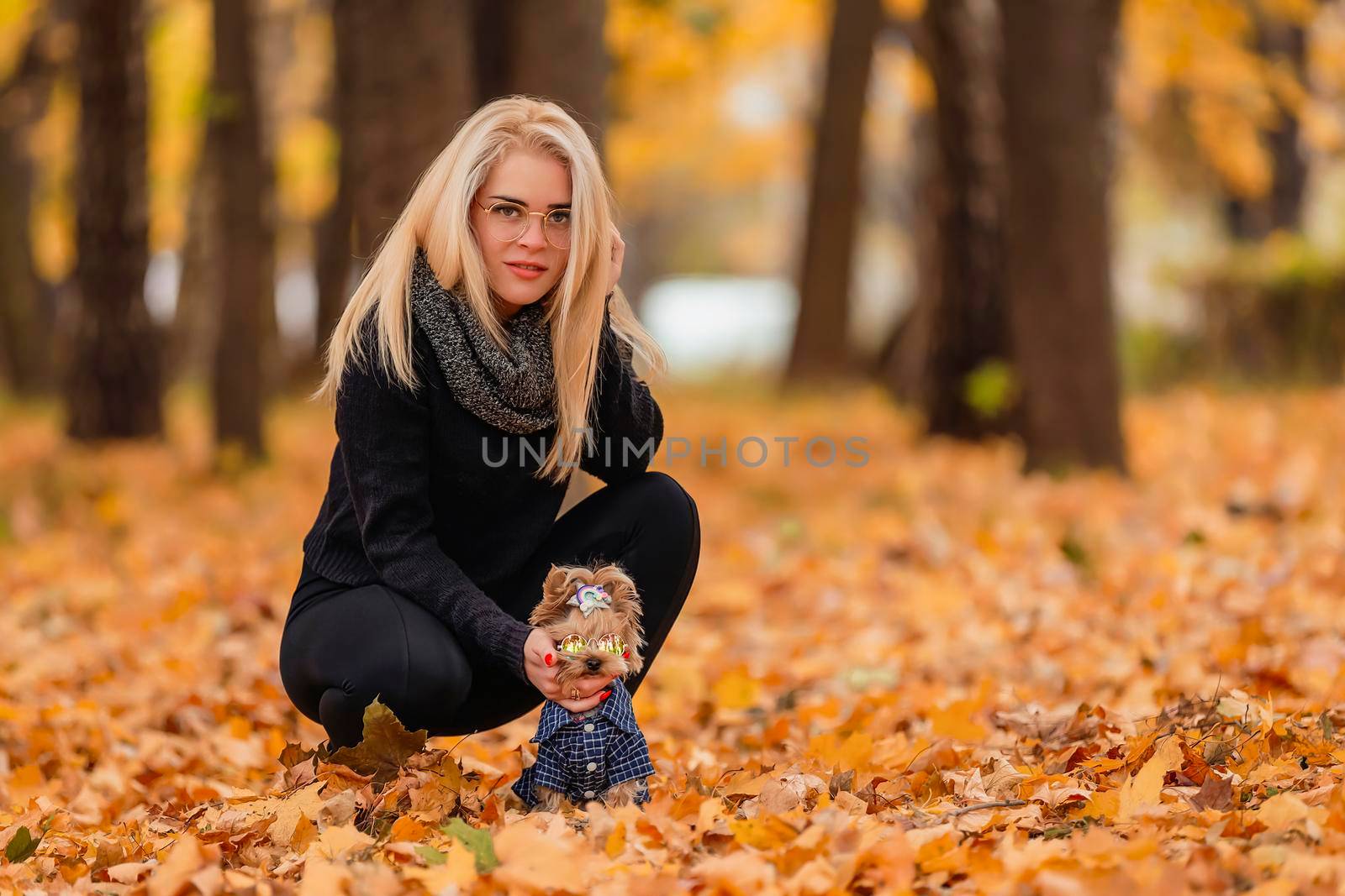 girl with a Yorkshire terrier dog in the autumn park