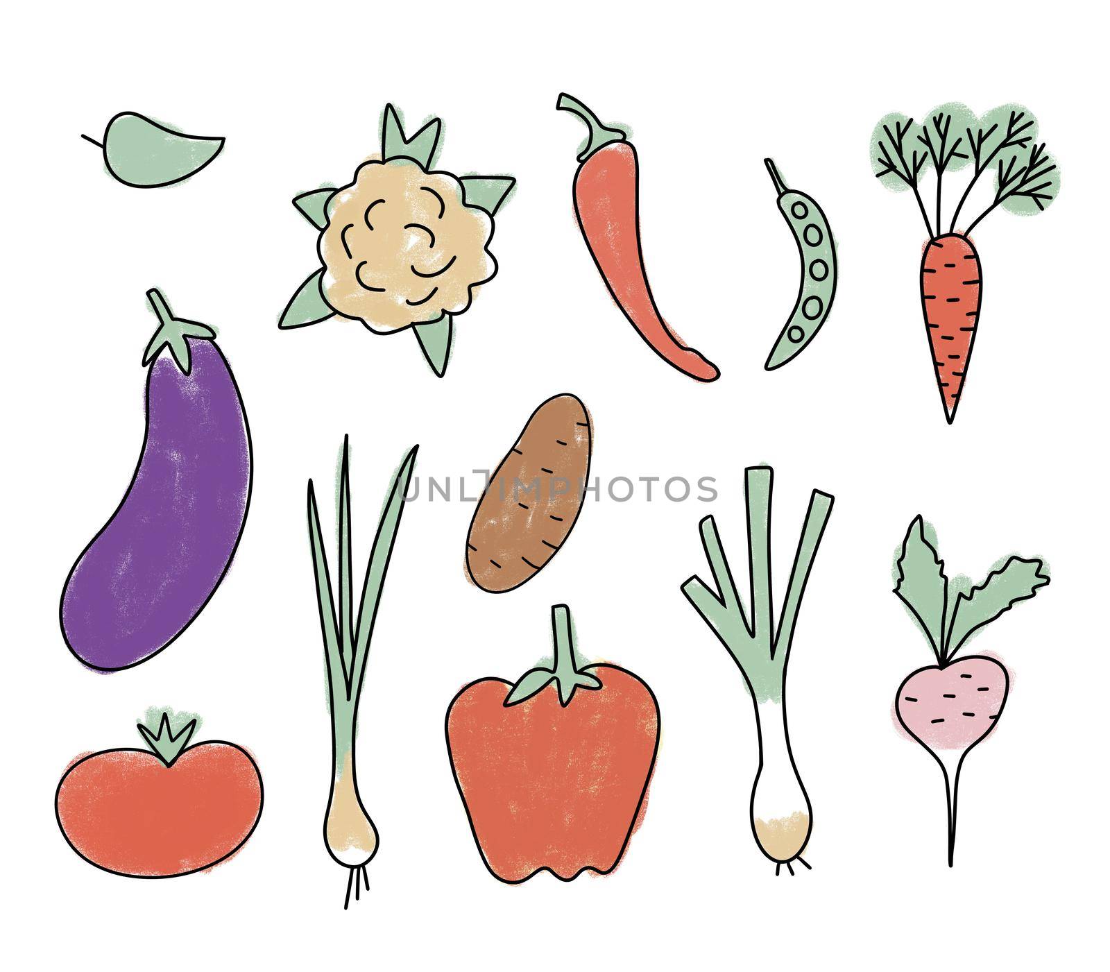 Hand drawn illustration of organic healthy vegetables, carrot potato tomato leek radish eggplant cauliflower beens. Market natural food veggies diet in soft pastel colors. by Lagmar