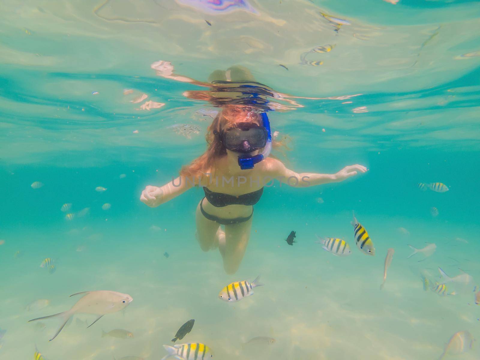 Happy woman in snorkeling mask dive underwater with tropical fishes in coral reef sea pool. Travel lifestyle, water sport outdoor adventure, swimming lessons on summer beach holiday.
