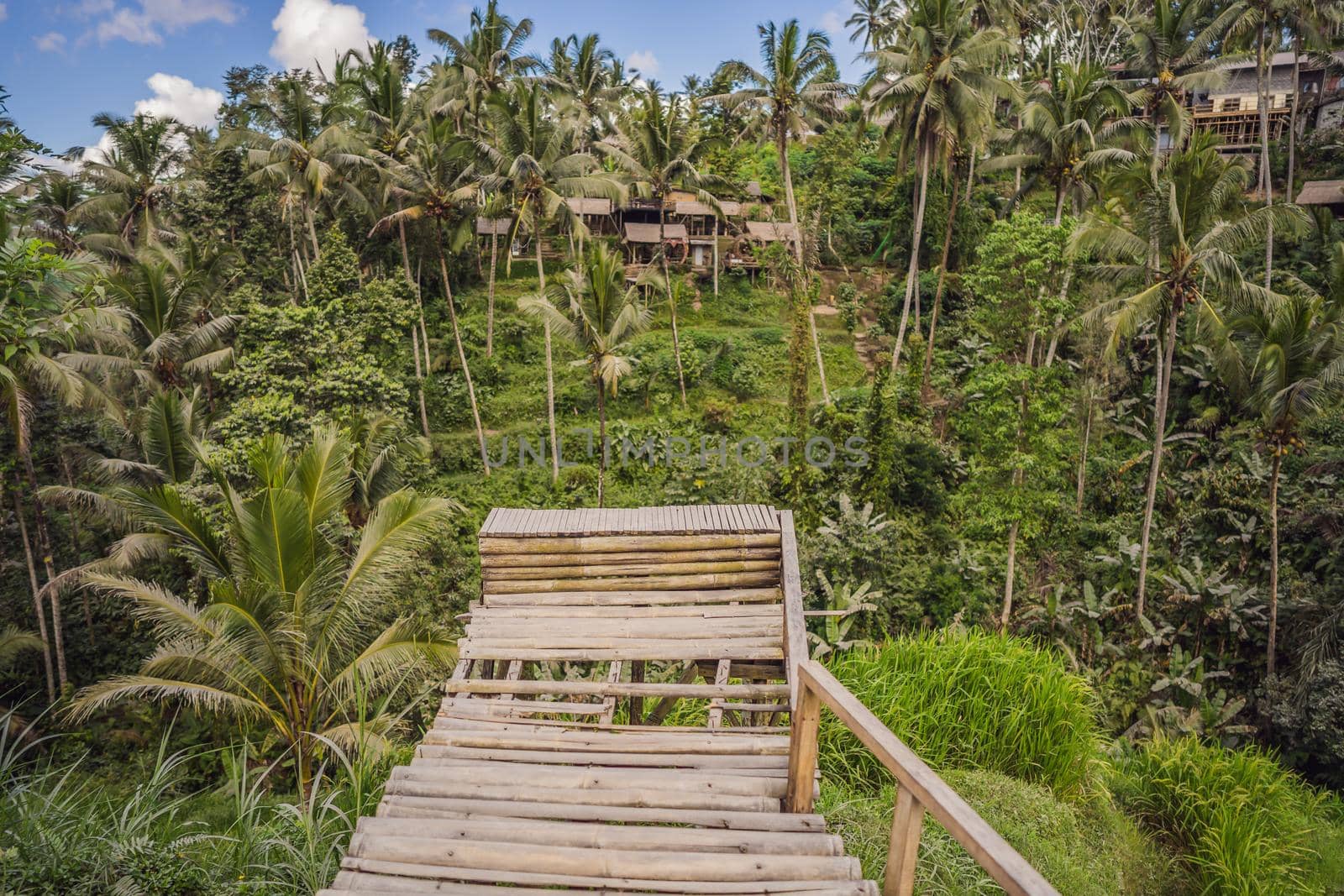 Panoramic view of the cascading rice terraces.