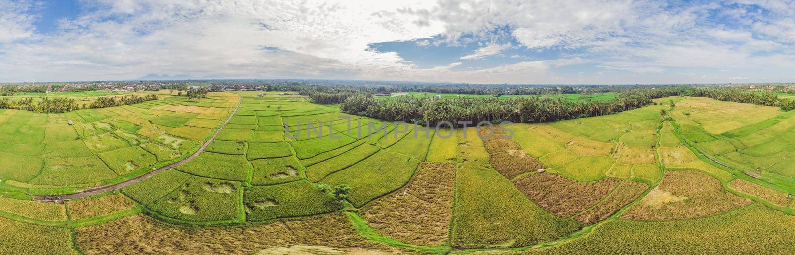 Image of beautiful Terraced rice field in water season and Irrigation from drone,Top view of rices paddy by galitskaya