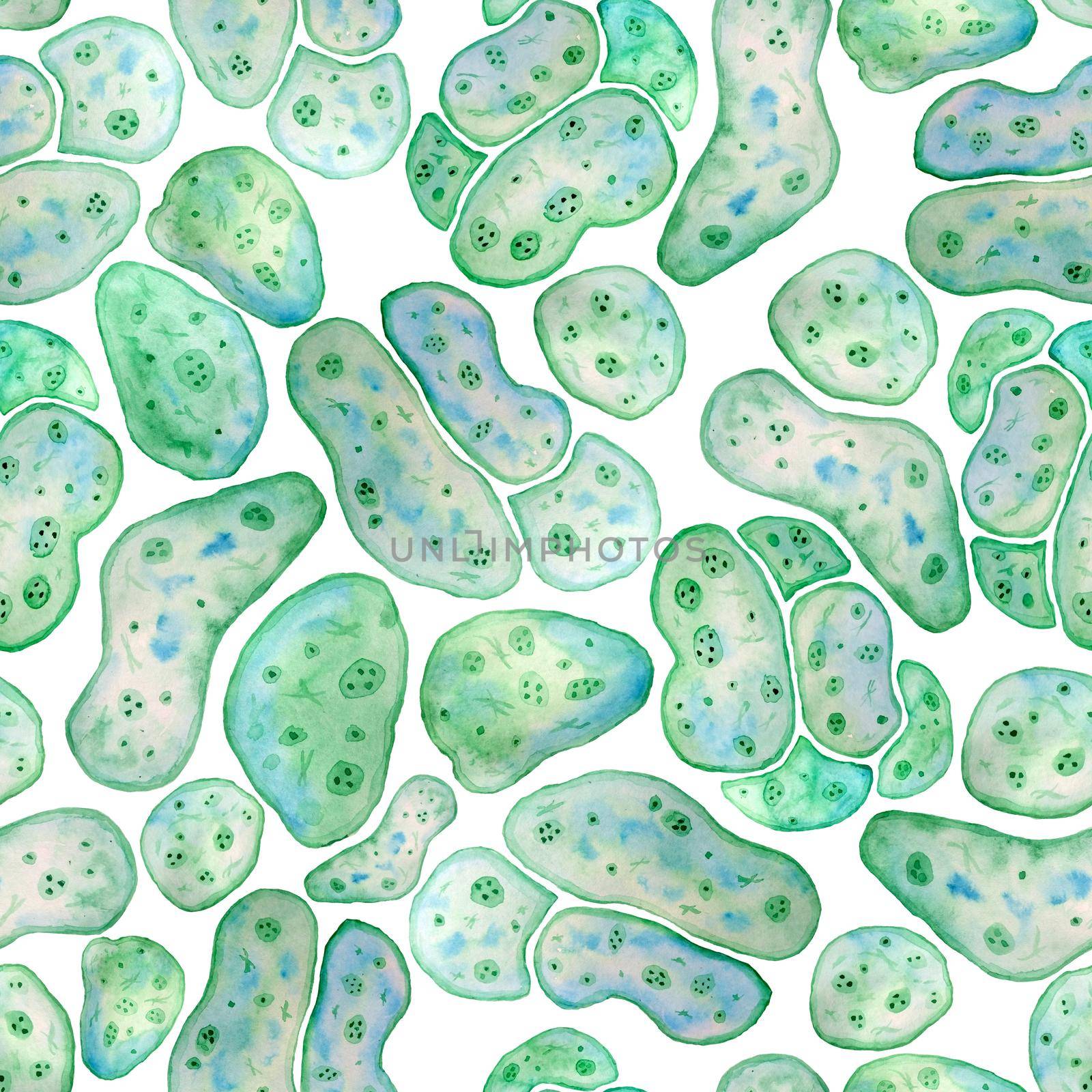 Seamless pattern of unicellular green blue algae chlorella spirulina with large cells single-cells with lipid weed droplets. Watercolor illustration of macro zoom microorganism bacteria for cosmetics biological design. by Lagmar