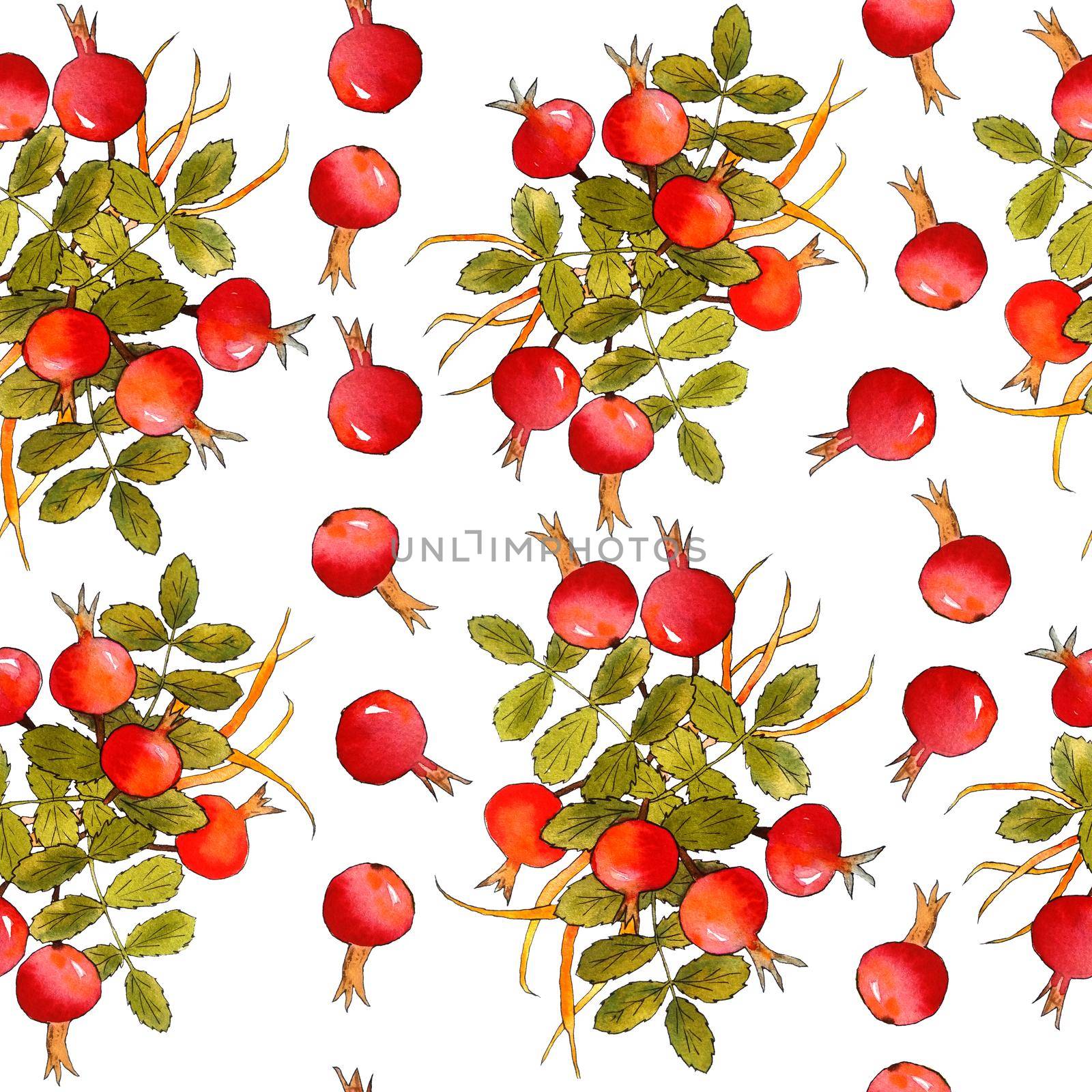 Seamless watercolor hand drawn pattern made of red dog rose berries with yellow grass and green leaf leaves. Wild rosehip on white background healthy organic vegetarian food for kitchen fabric textile. by Lagmar