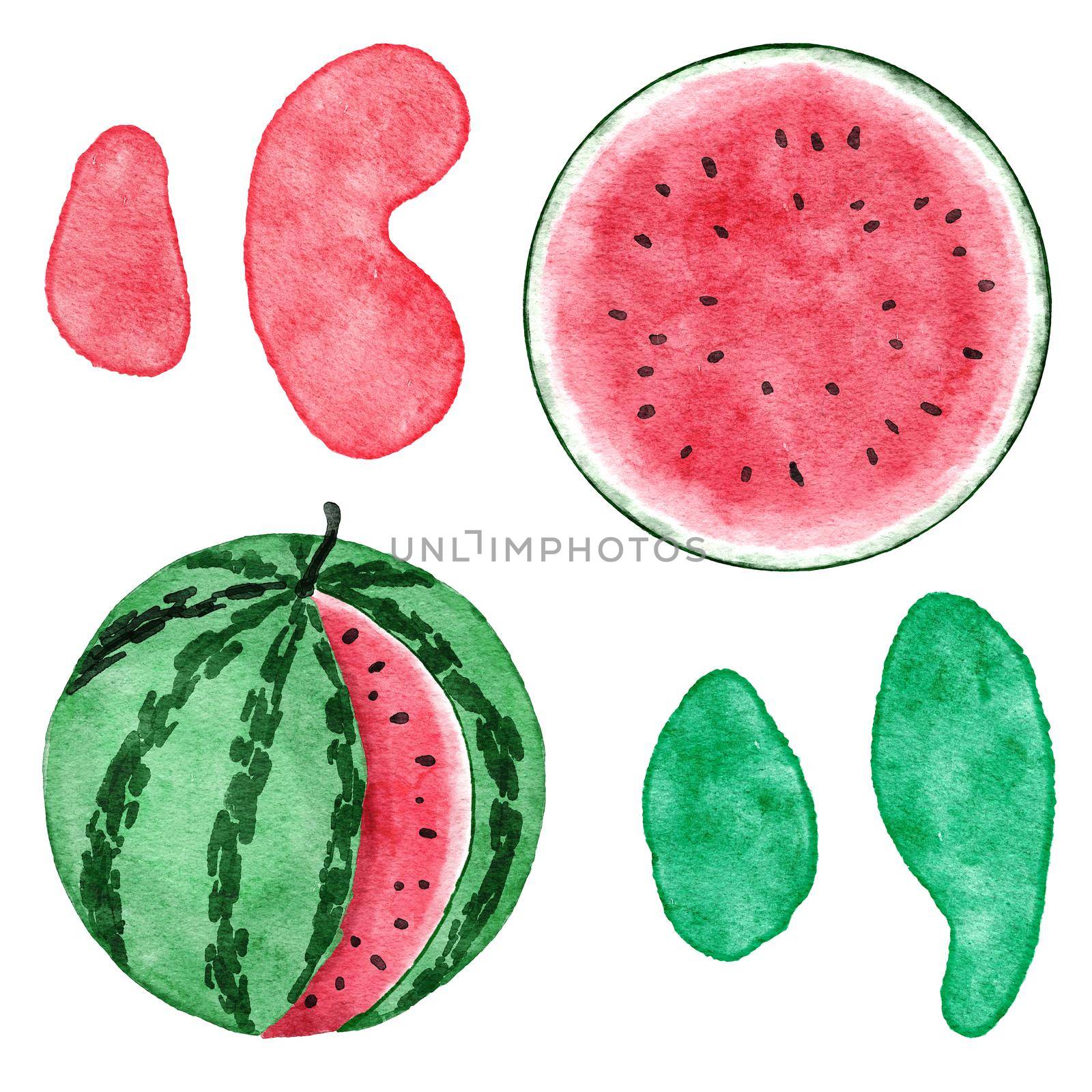 Watercolor hand drawn illustration of watermelon in red and green colors, summer fruit design for party decoration vegetable background. Natural organic plants, slices, seeds elements, fresh food concept. by Lagmar