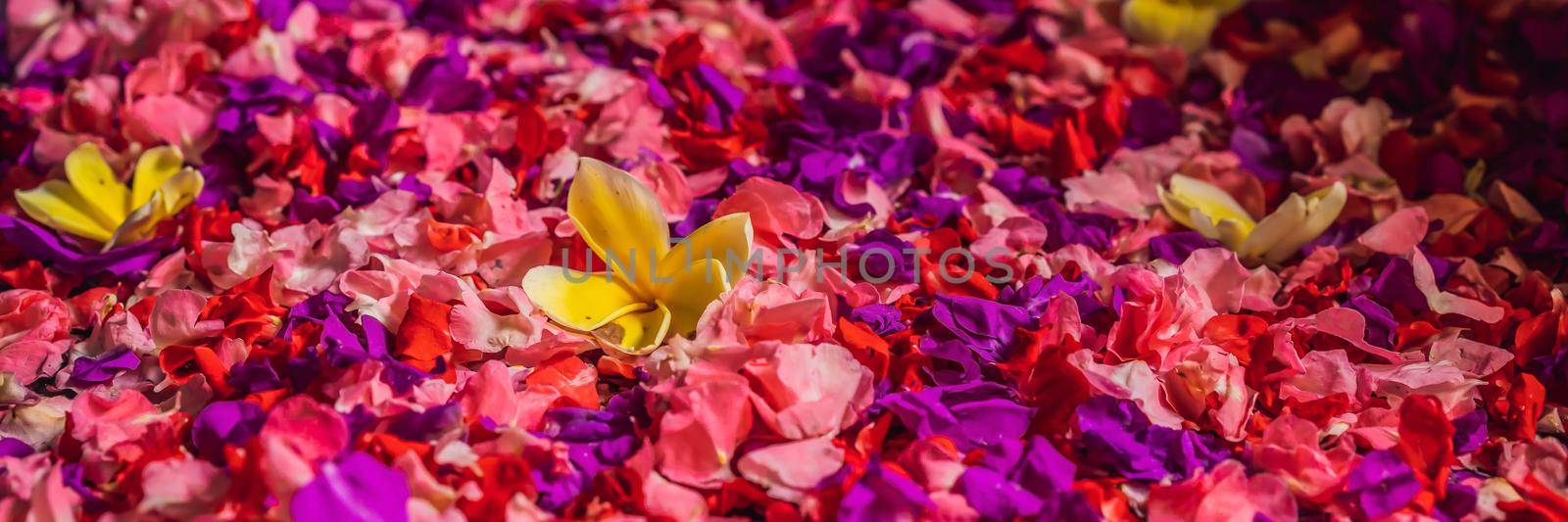 Spa petals in bowl with tropical flowers, spa pedicure treatment. BANNER, LONG FORMAT