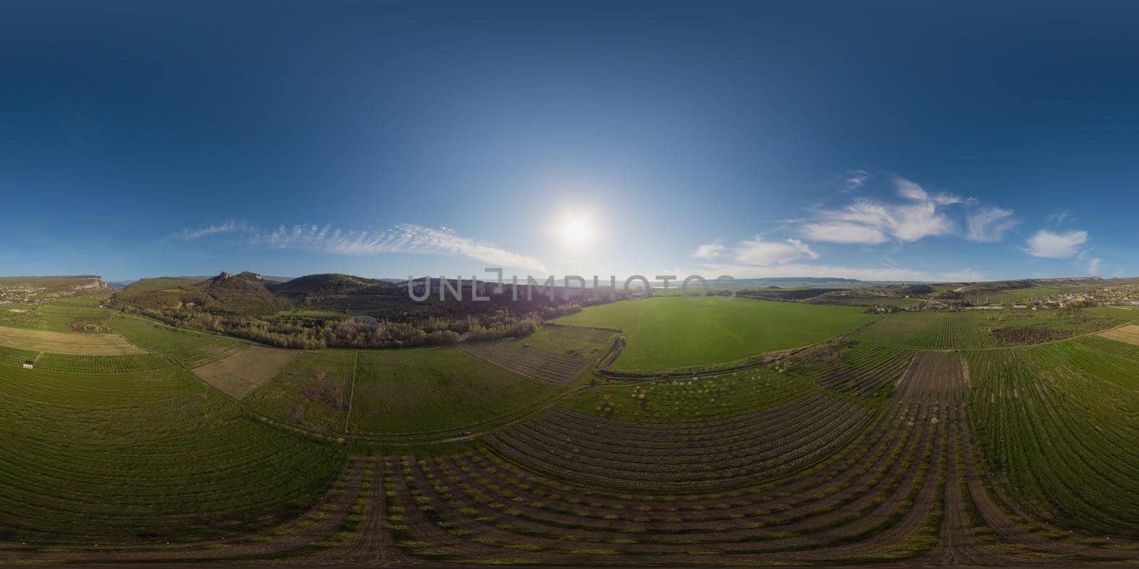 Aerial panorama over a young garden and a green wheat field in the countryside at sunset. Seamless spherical equirectangular 360 degree panorama. Agronomy, industry and food production. by panophotograph