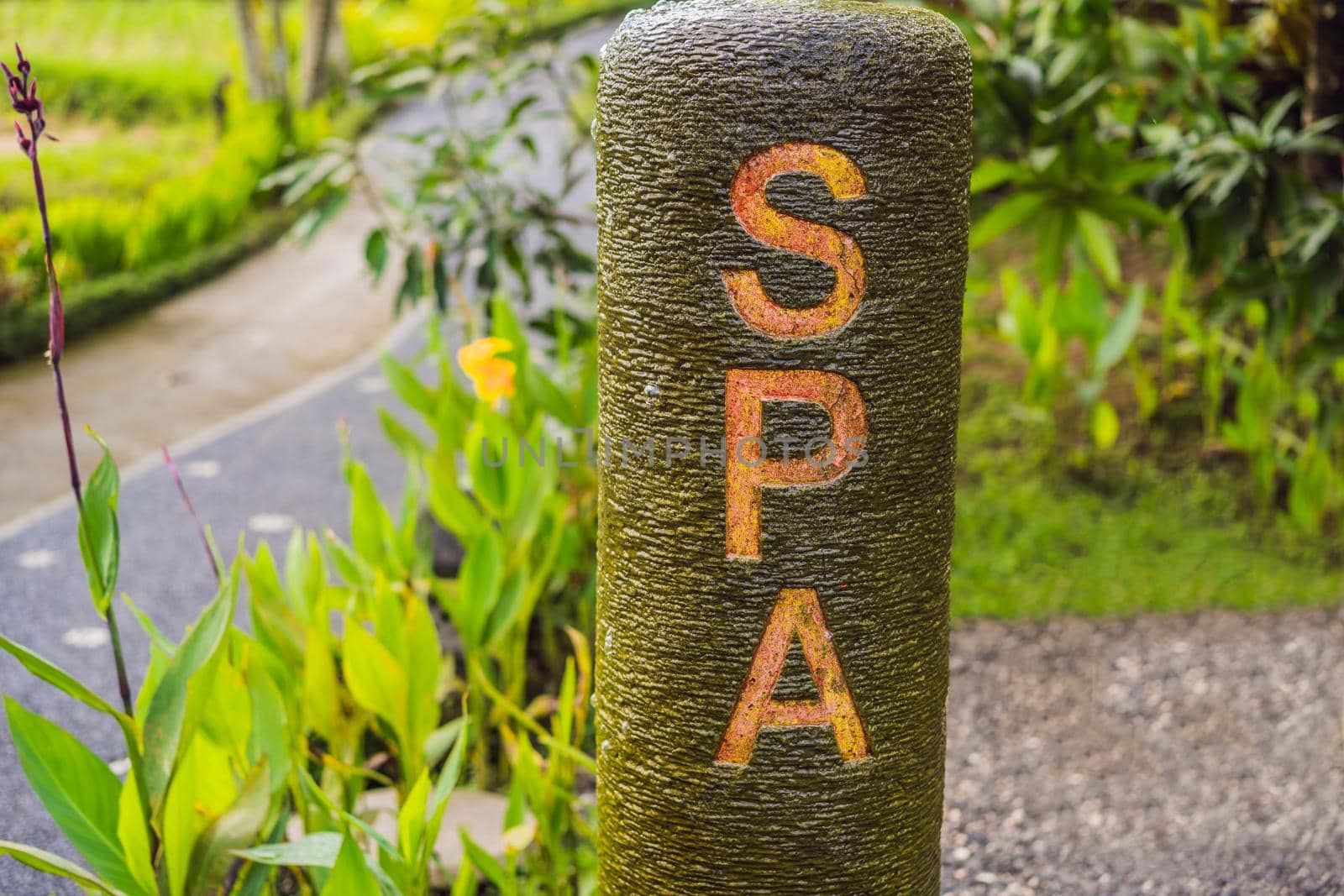 nameplate SPA in a secluded and secluded garden.