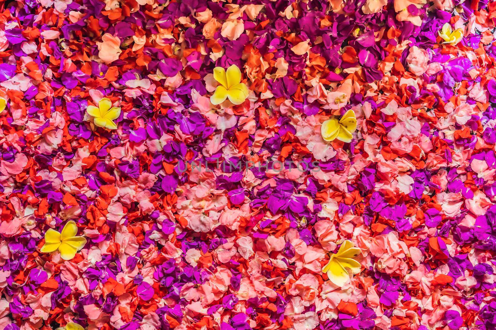 Spa petals in bowl with tropical flowers, spa pedicure treatment.