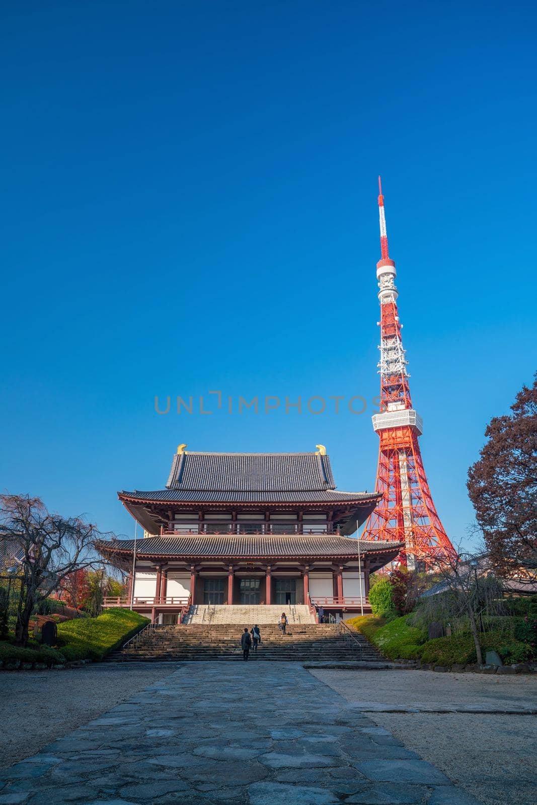 View of Zojoji Temple with Tokyo Tower in background , Japan.

