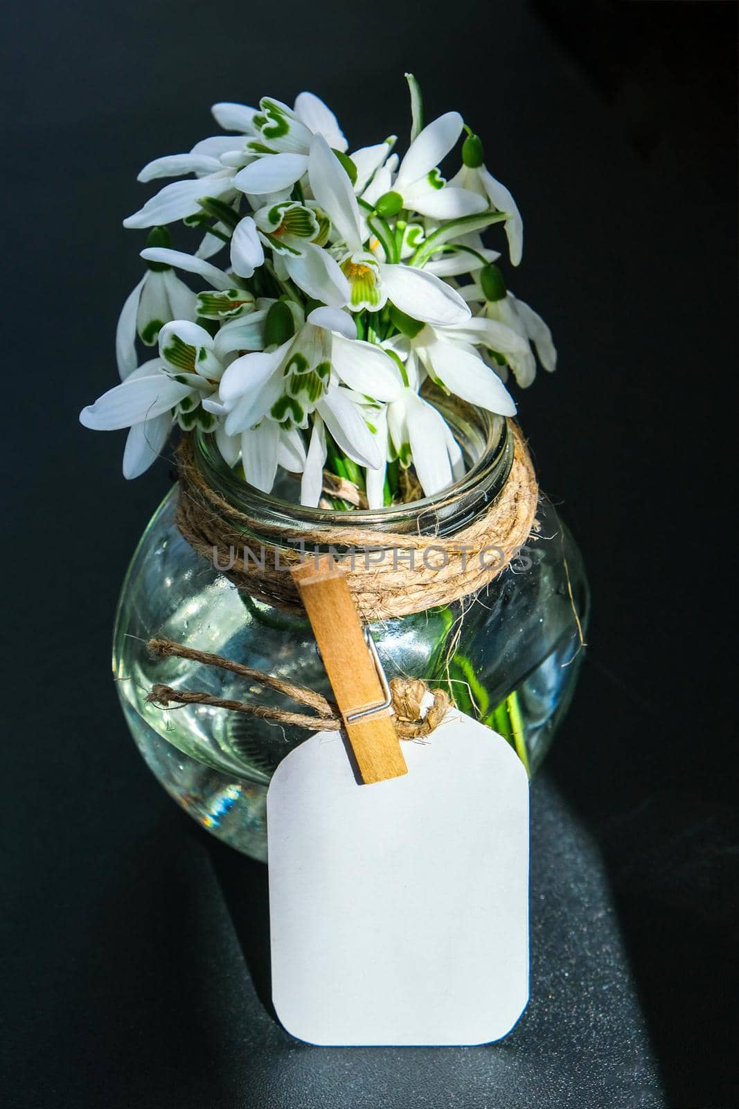 Bouquet of snowdrops in a glass vase with water. Copy space for text. Mock up with a tag. Early spring flowers. Holiday greeting card