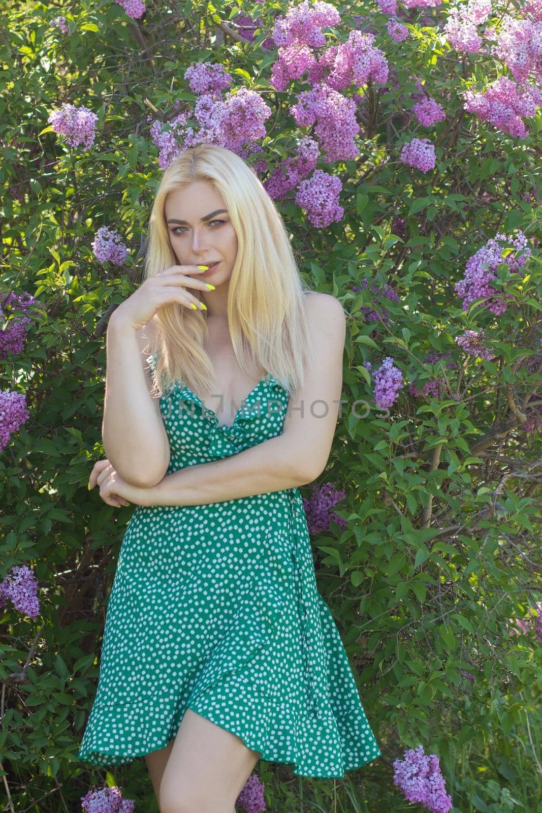 Fashionable girl model near a lilac bush. Spring flowers and beautiful blonde woman. Model appearance. Soft focus