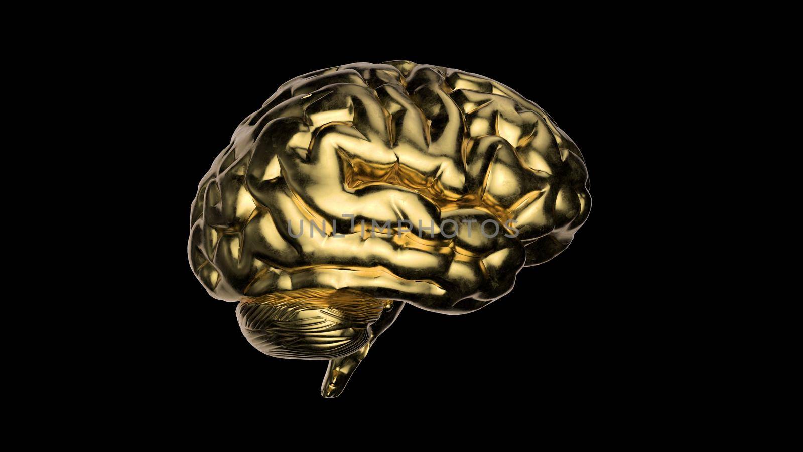 Abstract Golden Human brain with Rainbow Reflections Looped Animation by bawan