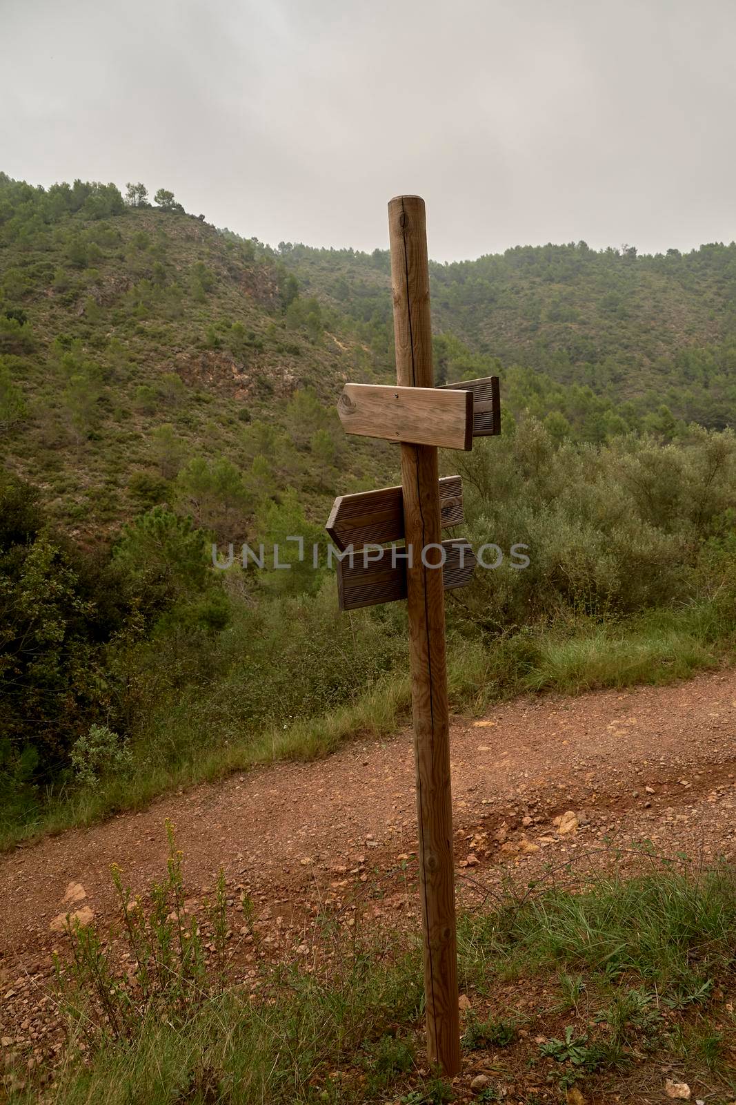 Wooden post with signposts in the forest by raul_ruiz