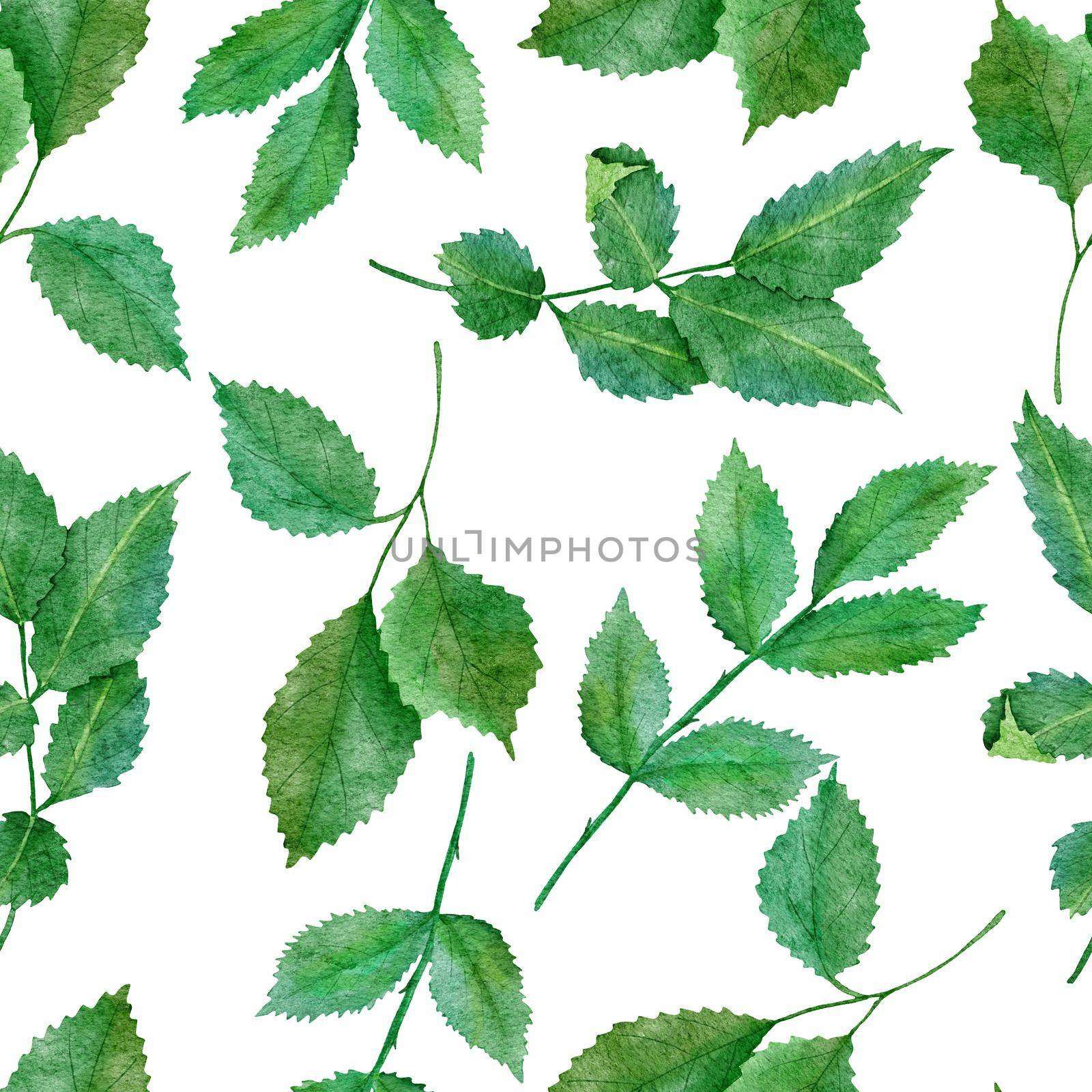 Watercolor hand drawn seamless pattern with green leaves natural leaf greenery, wild herbs fabricprint design. Elegant foliage background for wallpaper textile