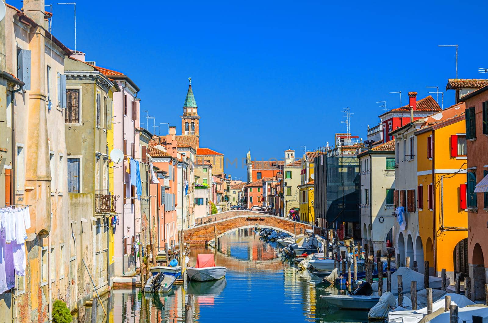 Chioggia cityscape with narrow water canal Vena with moored multicolored boats between old colorful buildings and brick bridge, blue sky background in summer day, Veneto Region, Northern Italy