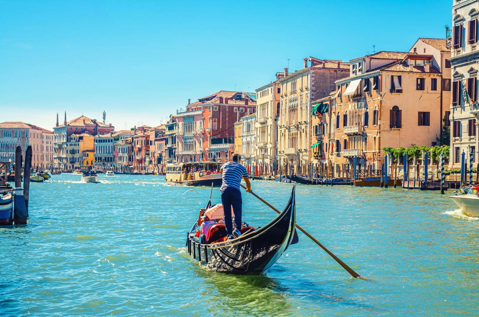 Venice cityscape with Grand Canal waterway, Venetian architecture colorful buildings, gondolier on gondola boat sailing Canal Grande, blue sky in sunny summer day. Veneto Region, Northern Italy.