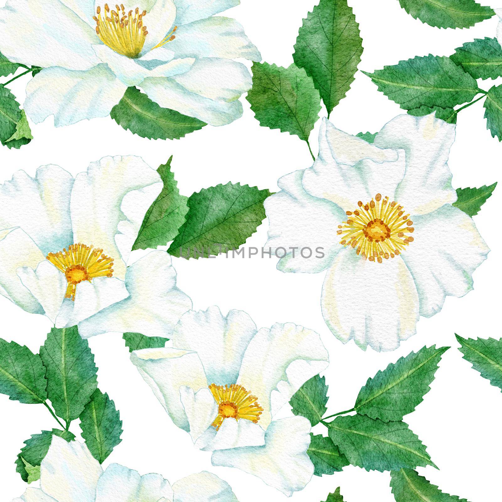 Watercolor hand drawn seamless pattern with floral wild rose flowers leaves branches. Green leaf greenery white blue dogrose print background. Natural elegant victorian design for wallpaper textile. by Lagmar