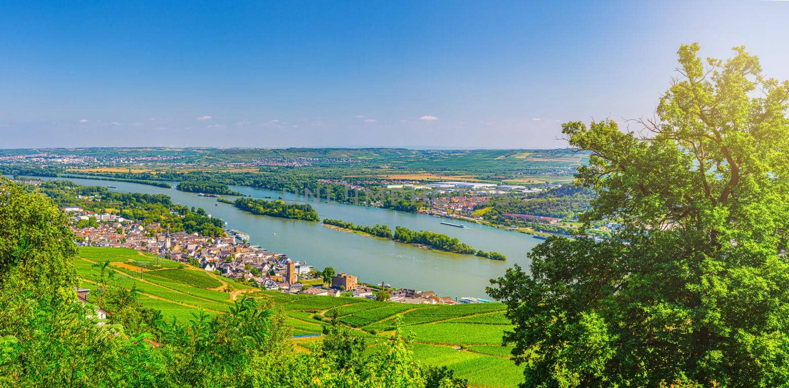 Panorama of river Rhine Gorge or Upper Middle Rhine Valley winemaking region with vineyards green fields near Rudesheim am Rhein town, Rhineland-Palatinate, Germany. Panoramic view of Rhein valley