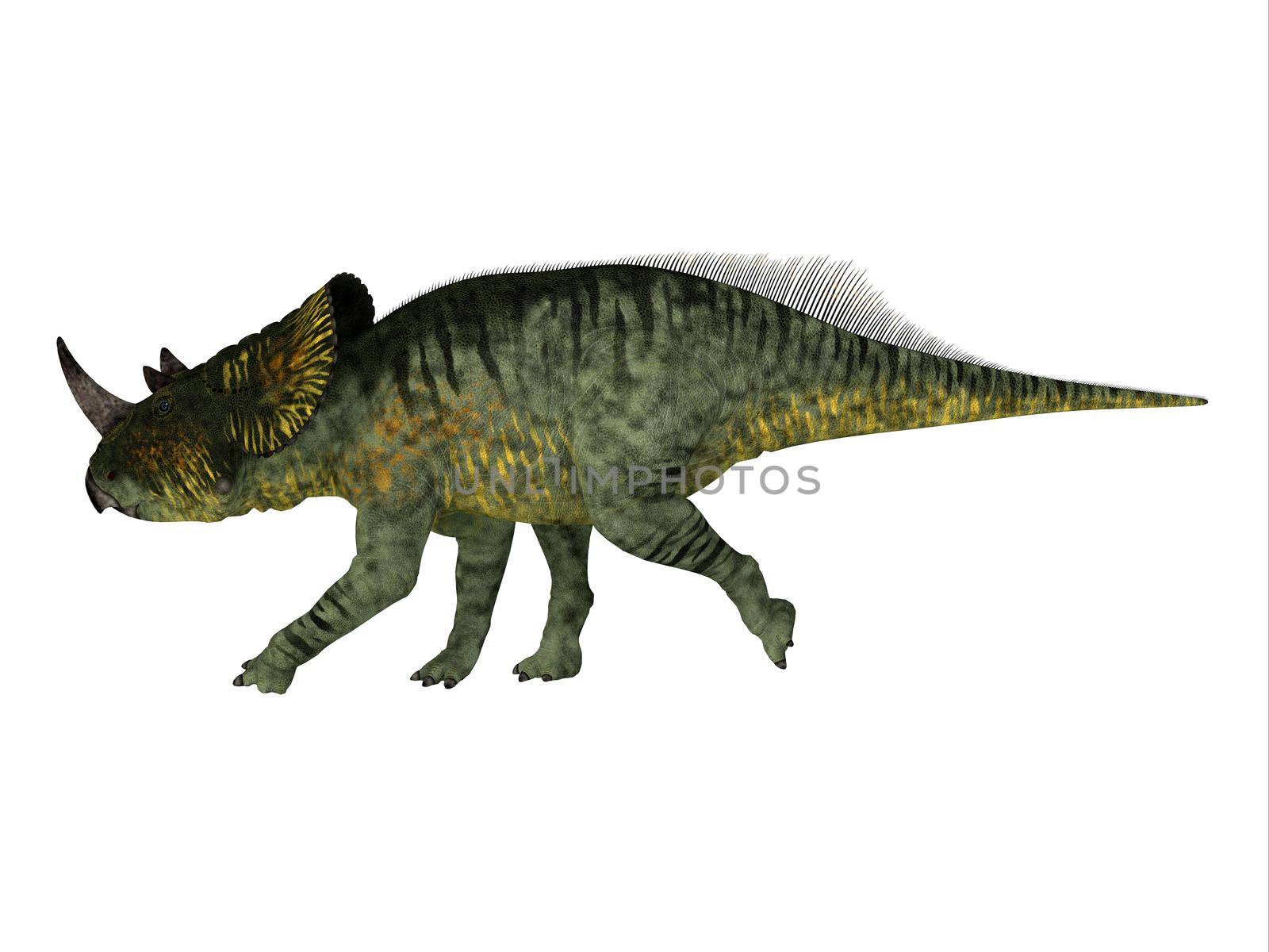 Brachyceratops Cretaceous Dinosaur by Catmando