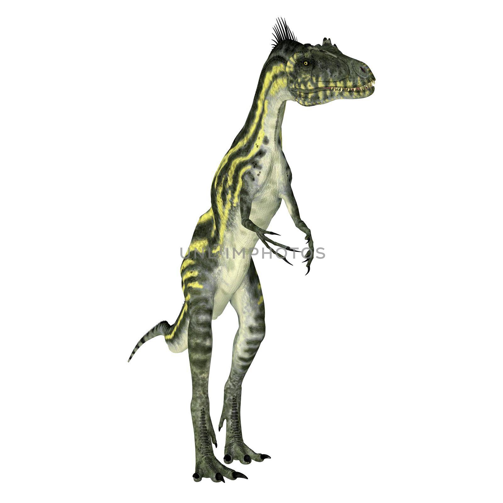 Deltadromeus was a small carnivorous theropod dinosaur that lived in Africa during the Cretaceous Period.