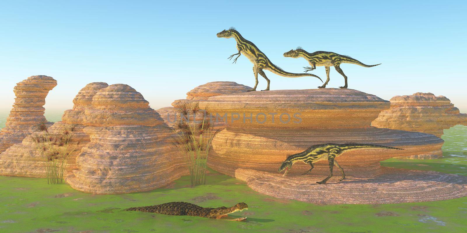 A Sarcosuchus reptile lays in wait for a Deltadromeus dinosaur wanting a drink of water during the Cretaceous Period of Africa.