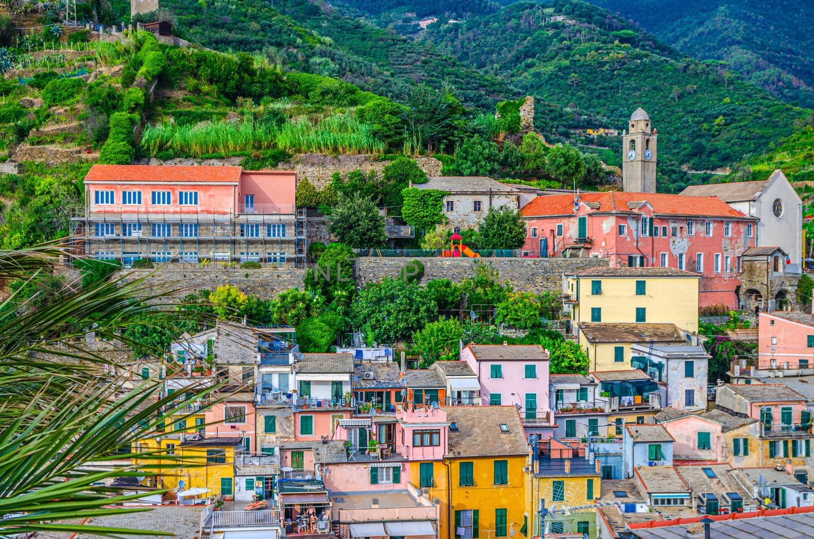 Top aerial view of green forest hills and typical colorful buildings houses in Vernazza village, National park Cinque Terre, La Spezia, Liguria, Italy