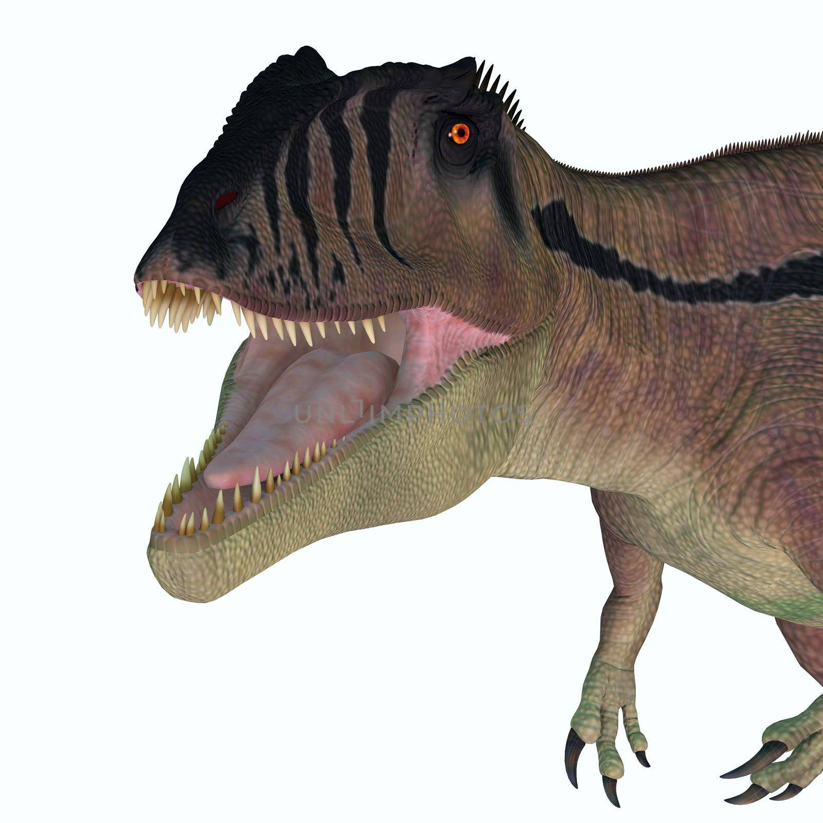 Carcharodontosaurus Hunter Dinosaur by Catmando
