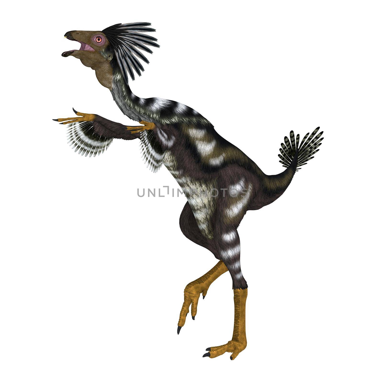 Caudipteryx Dinosaur Dance by Catmando